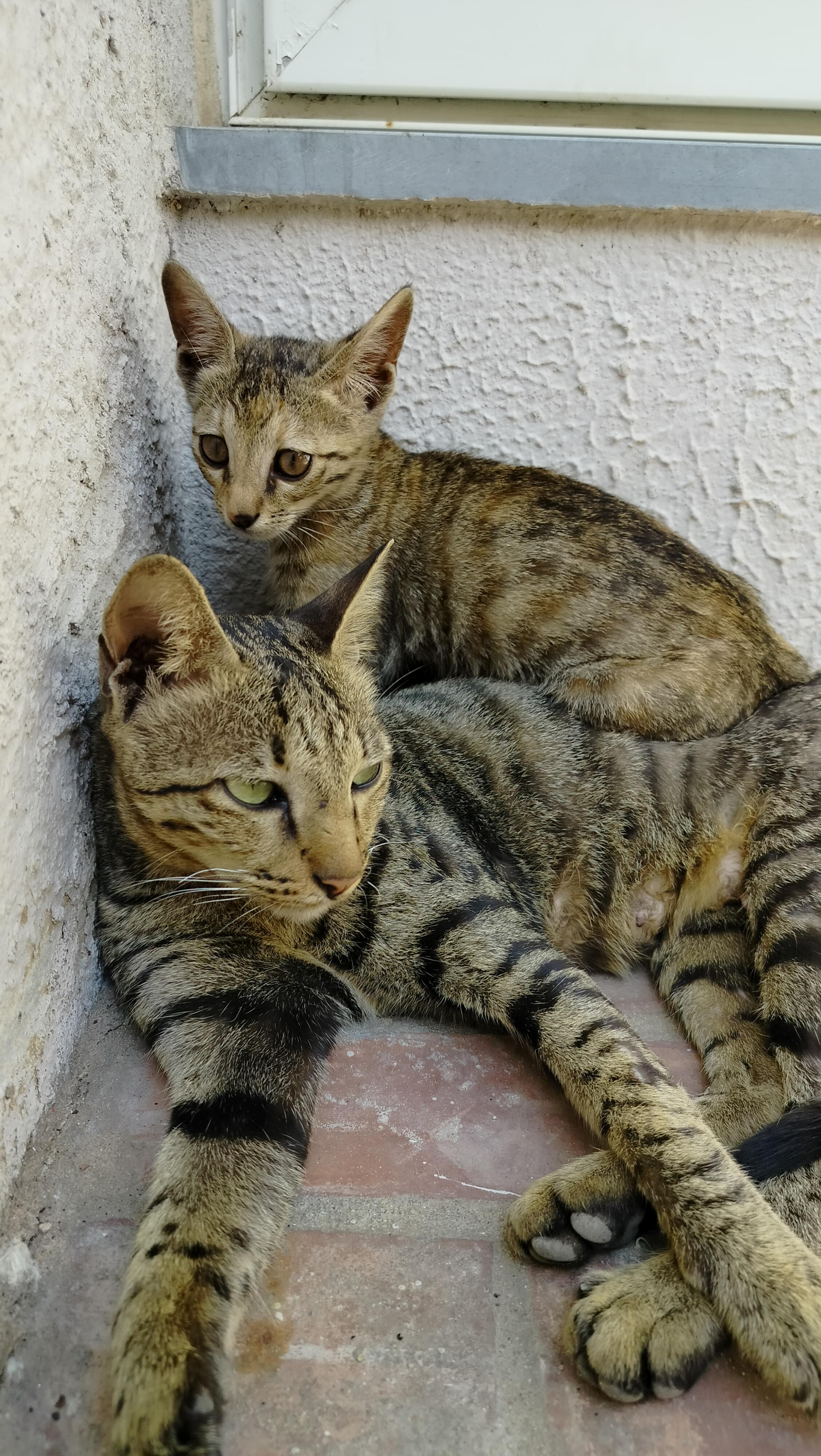 Anant National University Ahmedabad General photo (18) by Saumya Kumari