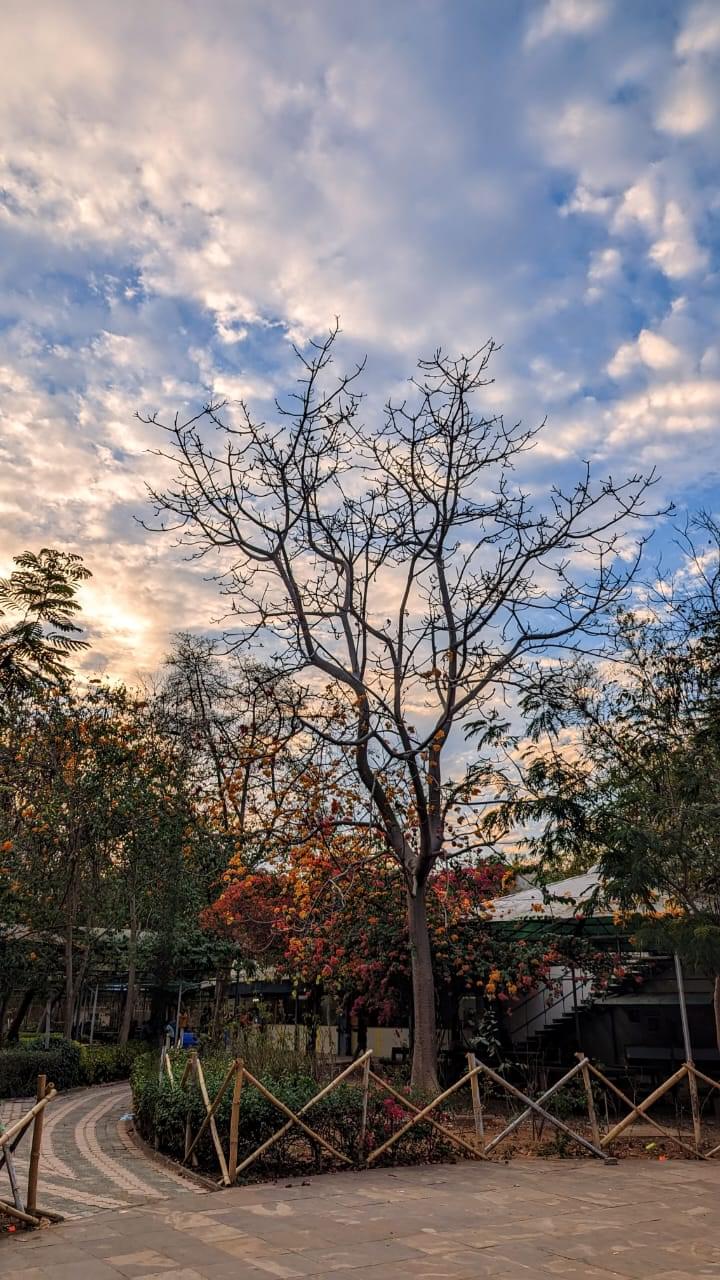 Student's Review On Dhirubhai Ambani Institute Of Information And ...