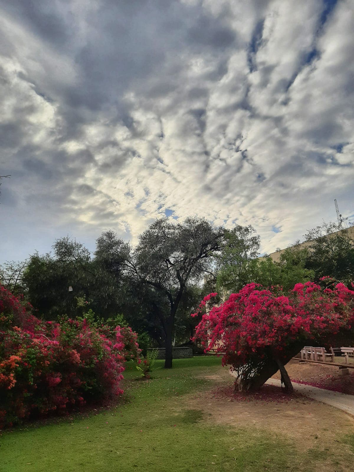 DAIICT General photo (17) by Sujal Manavadariya