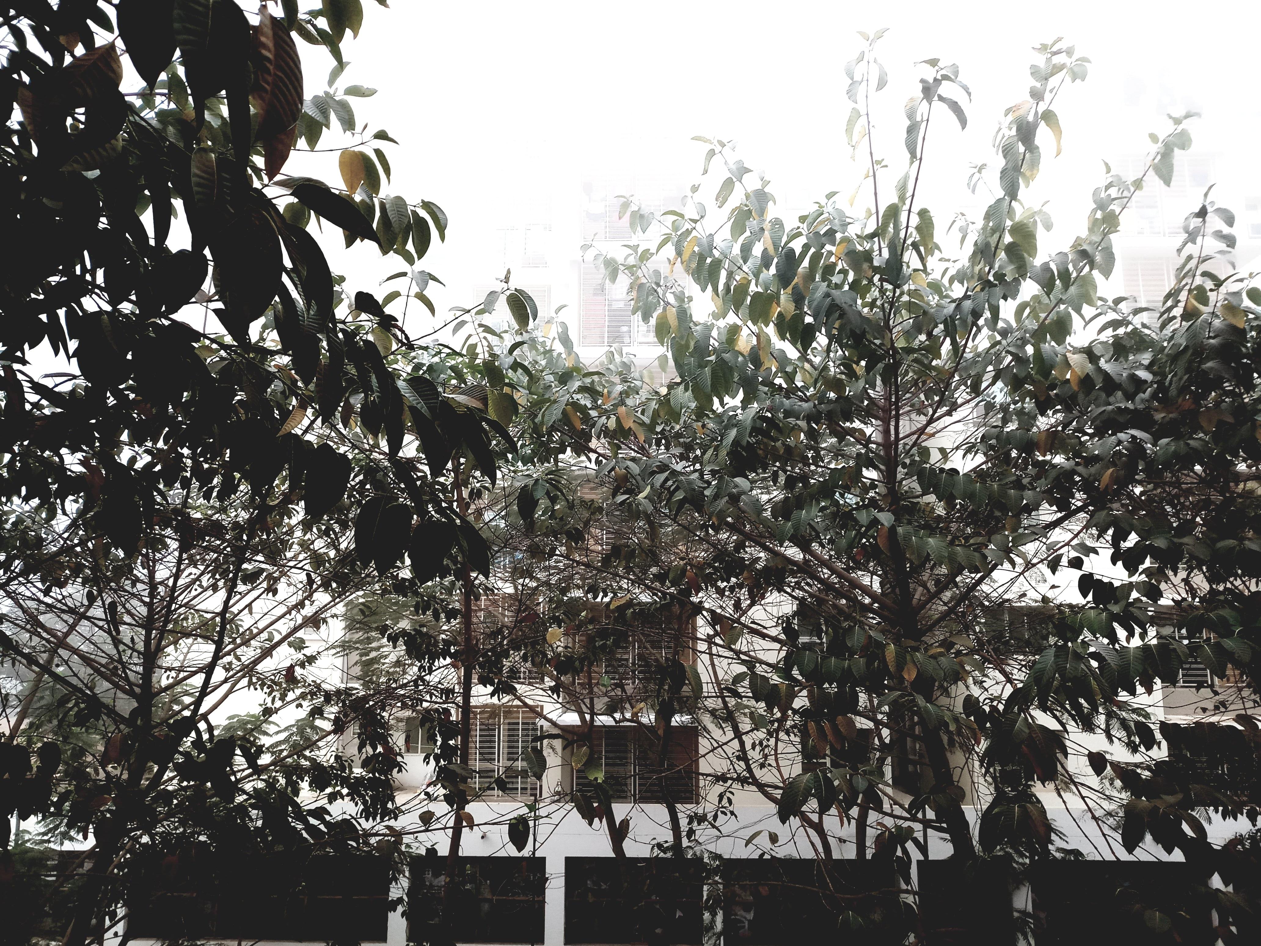 IIM Bodh Gaya Infrastructure & Academic Building photo (4) by Ayush Agrawal