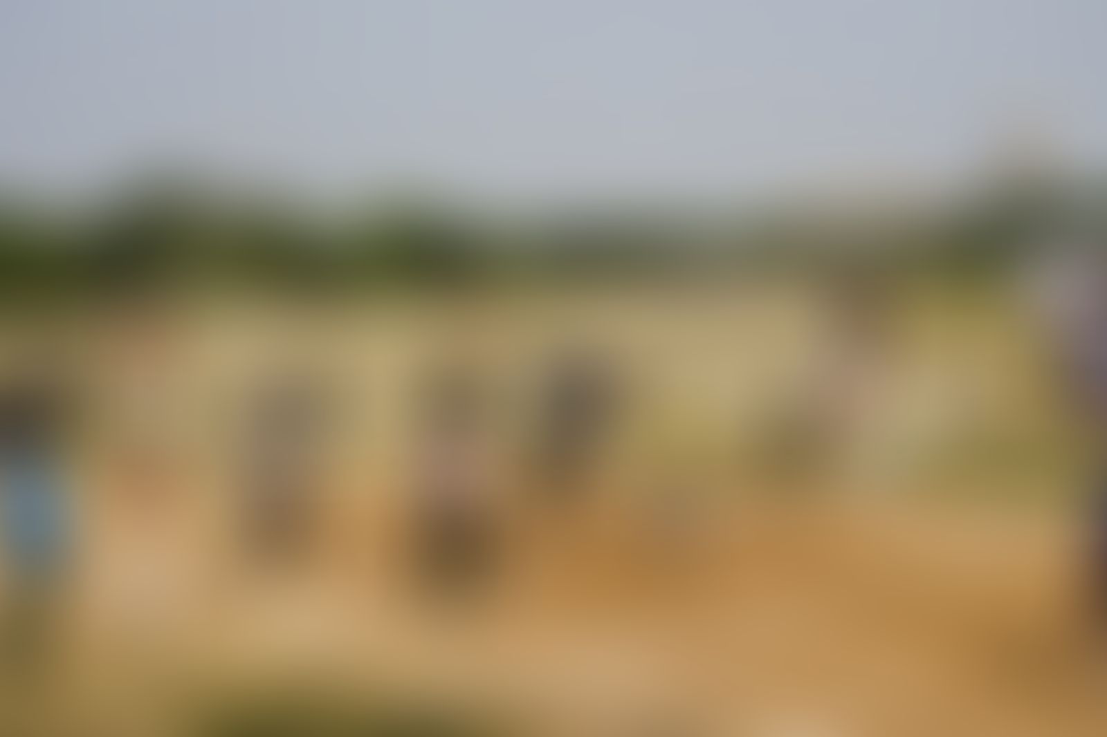Bundelkhand University, Institute of Engineering and Technology Jhansi Extra-Curricular photo (7) by Harsh Singh