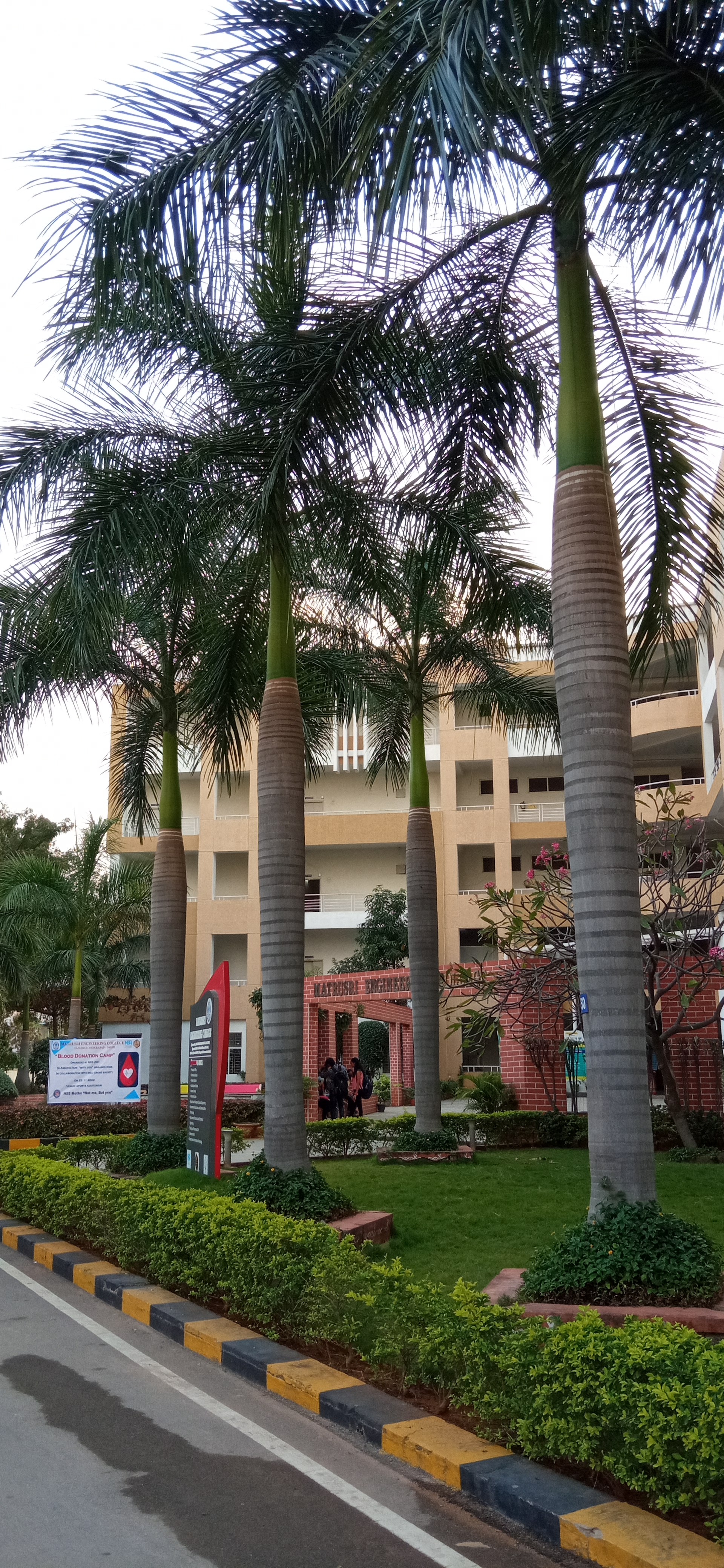 Matrusri Engineering College Hyderabad Campus photo (6) by Akshay
