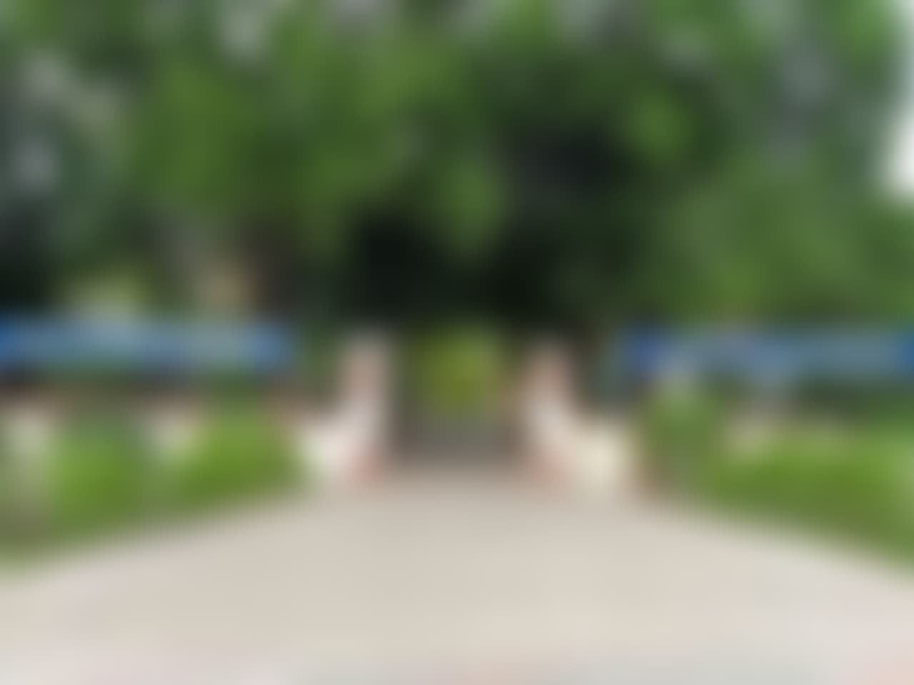 Thiagarajar College General photo (18) by Keerthy