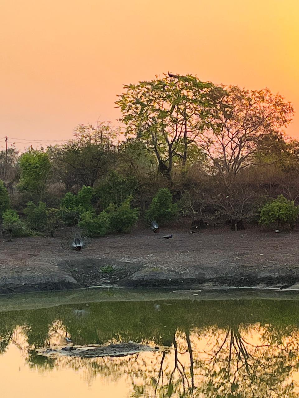 SPA Bhopal General photo 2