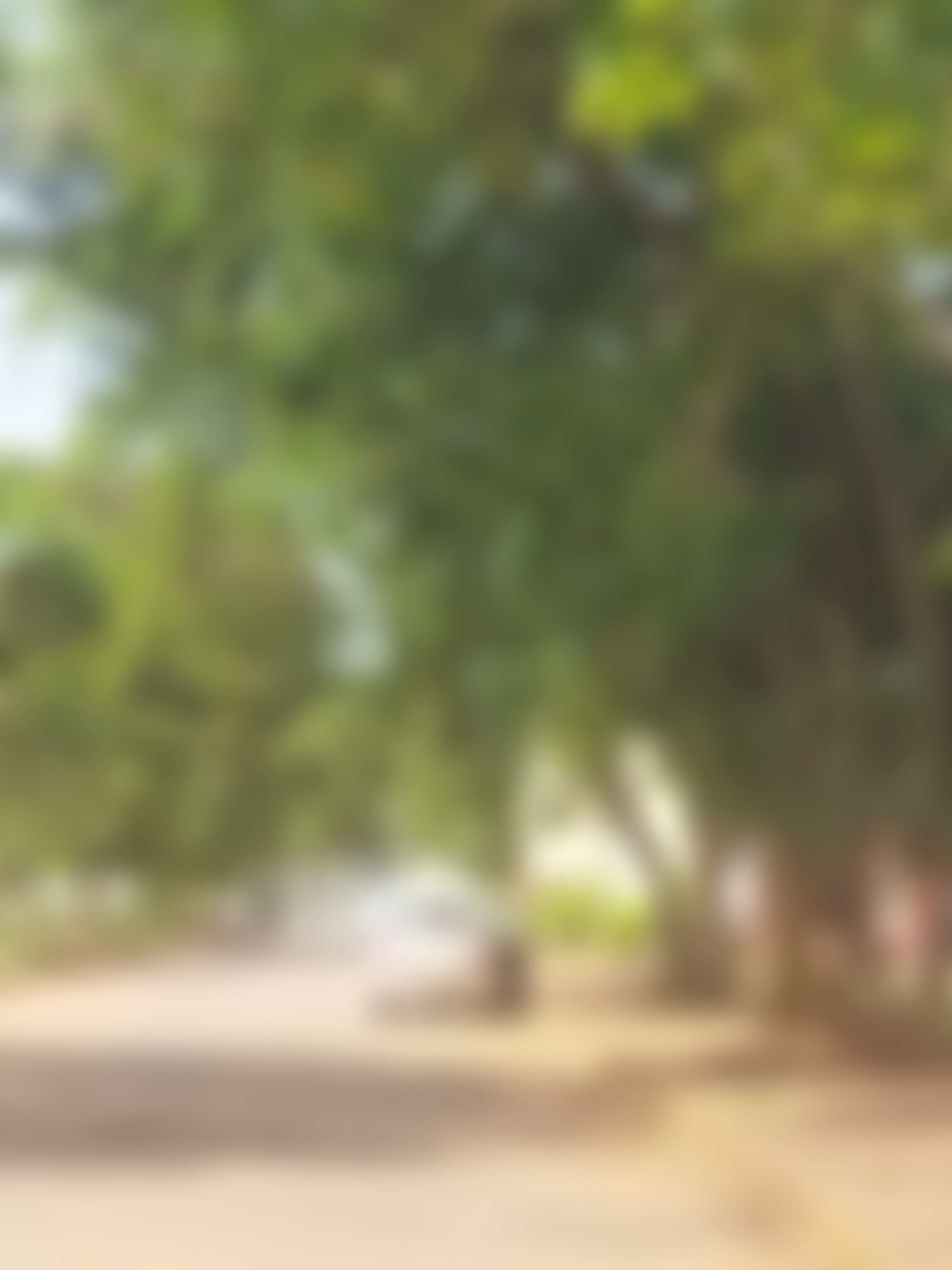 Jayamukhi Institute of Technological Sciences Warangal General photo (10) by Praveen
