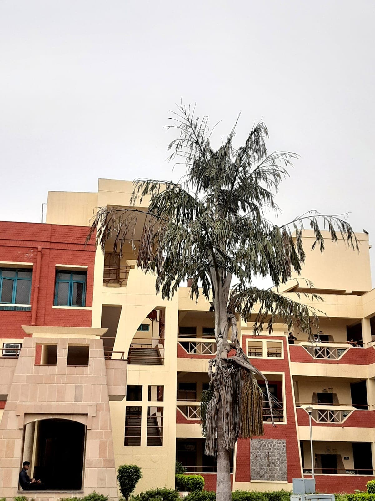 Keshav Mahavidyalaya General photo (20) by Bhoomika Singh