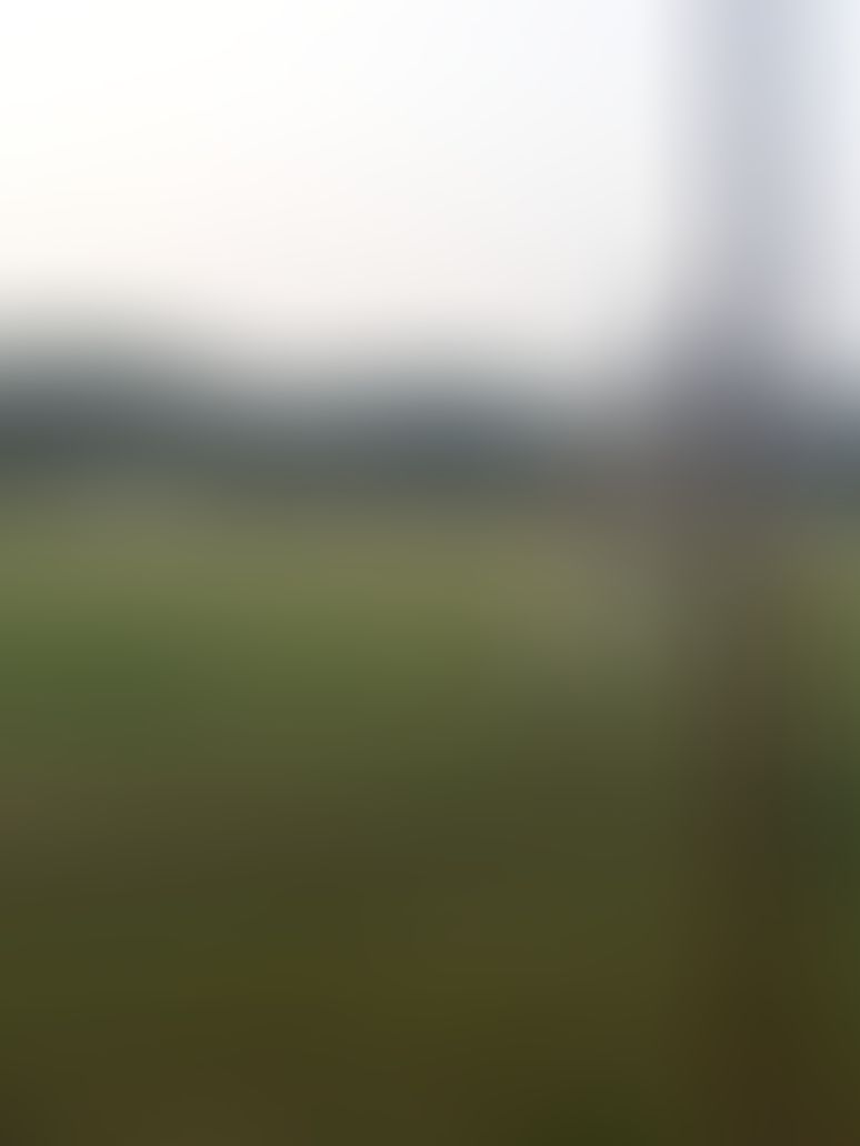 BK Birla Institute of Engineering and Technology Pilani General photo (6) by Rahul Gehlot