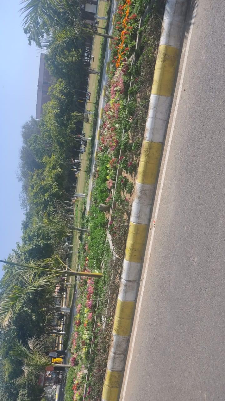 UIET Mdu General photo (15) by Bhavya Sharma