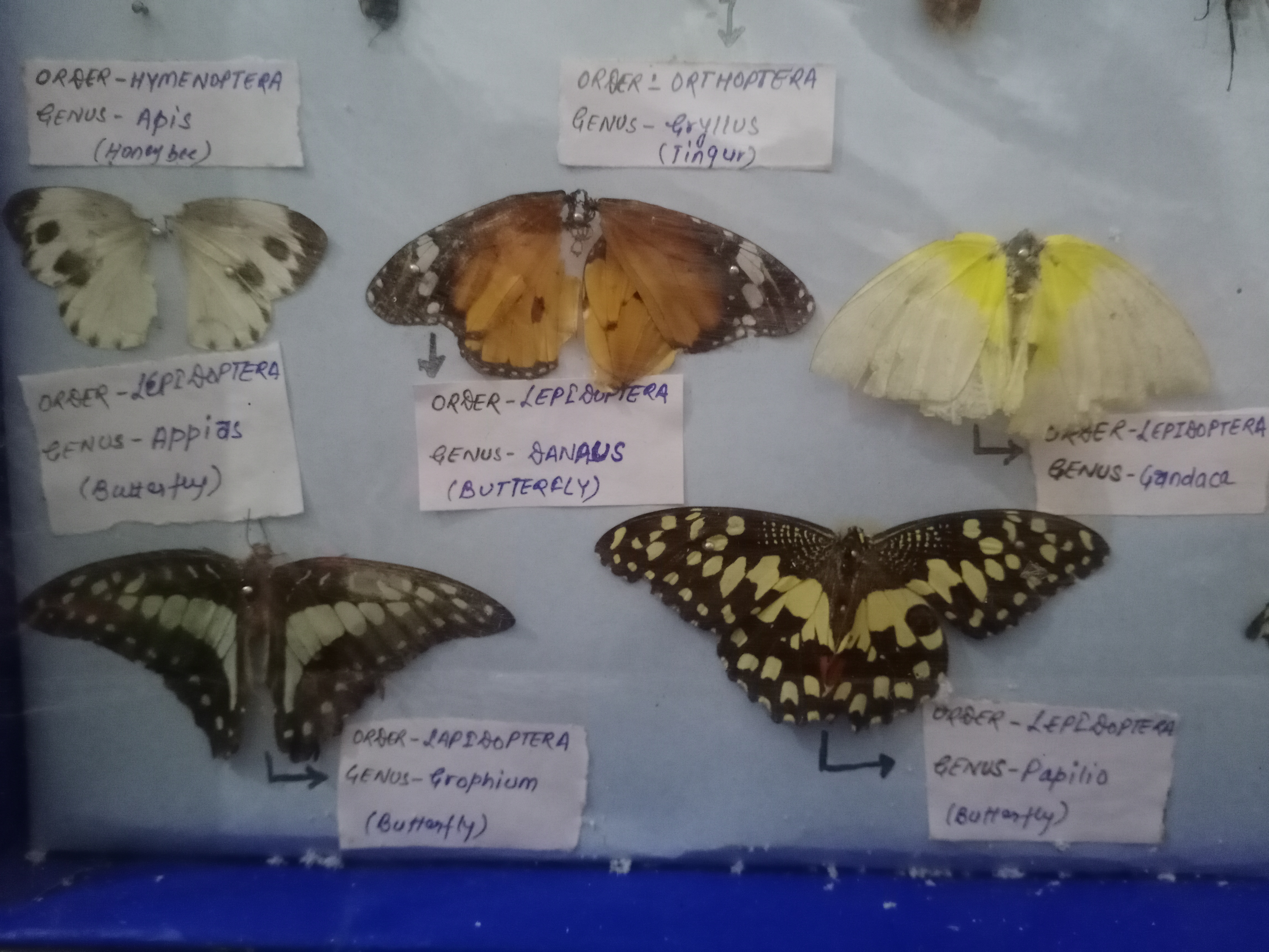 Patna Science College General photo (16) by Shabdita Prerna Ghosh