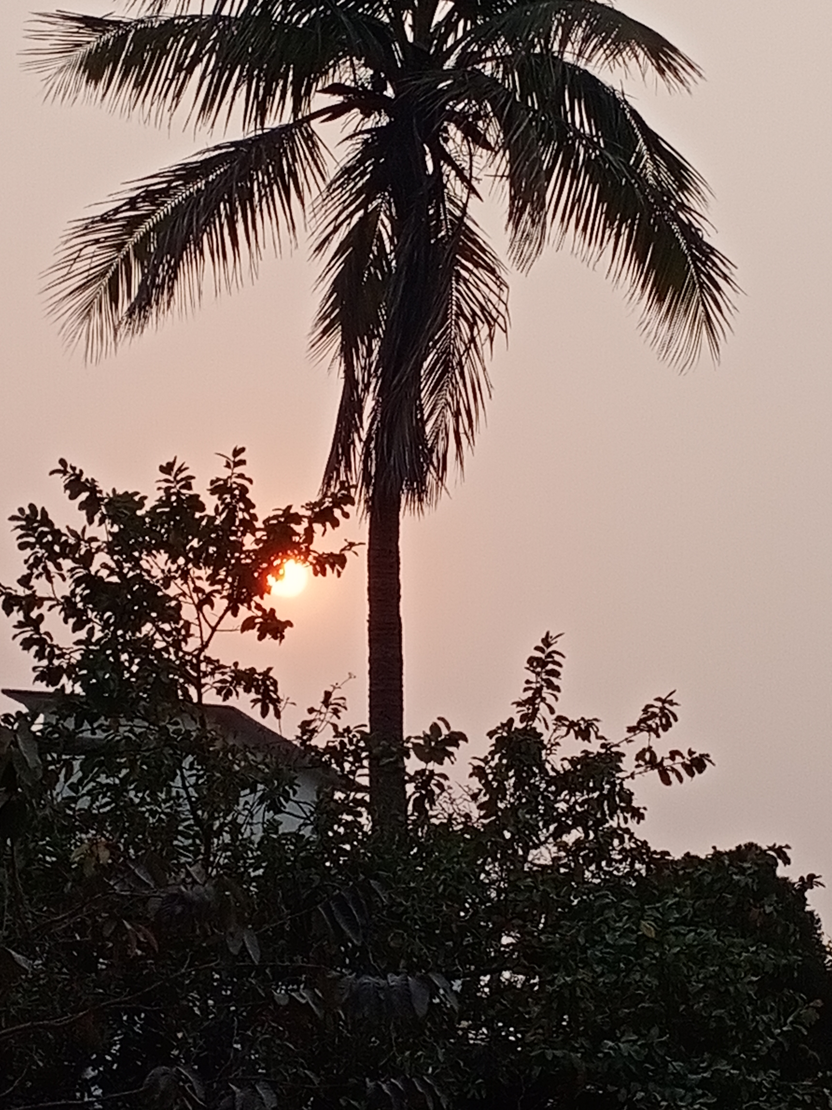 Patna Science College General photo (14) by Shabdita Prerna Ghosh