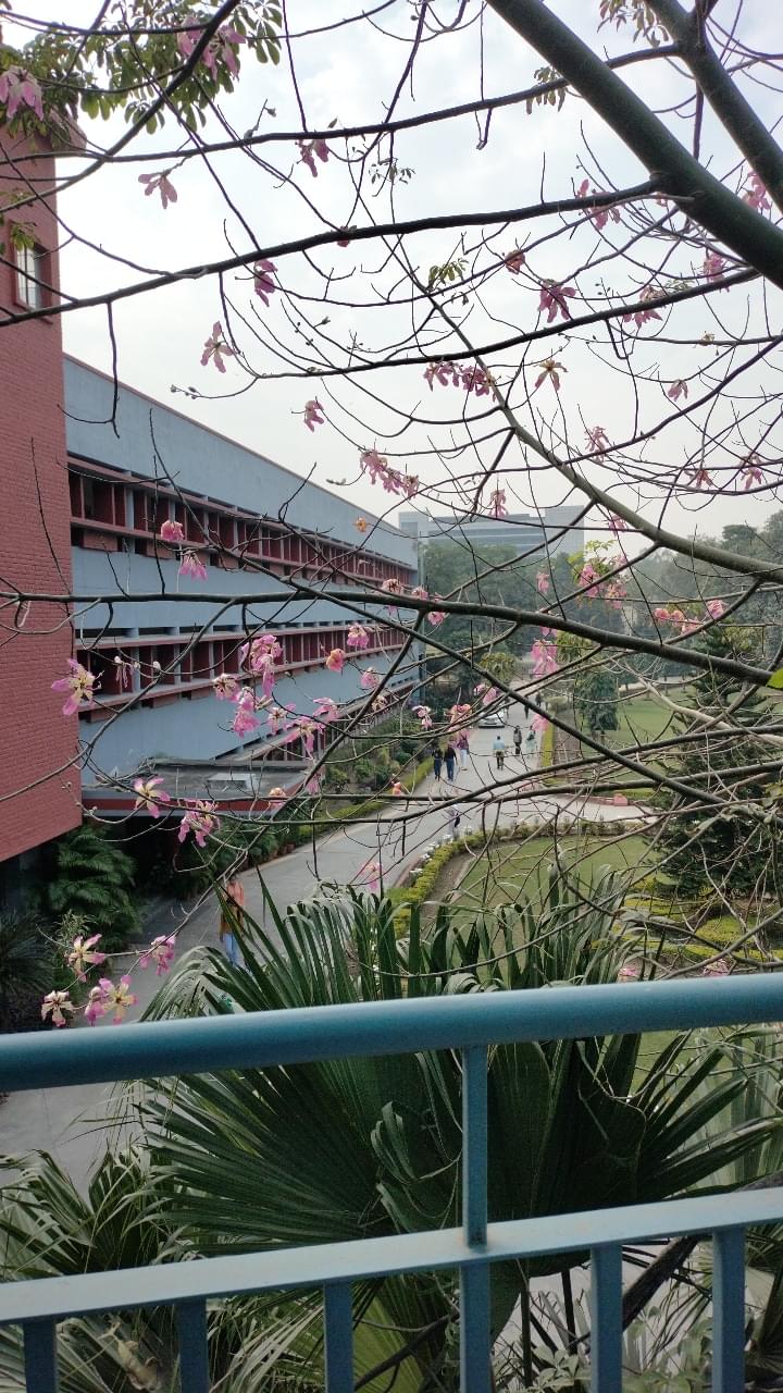 Janki Devi Memorial College General photo (7) by Aayushi