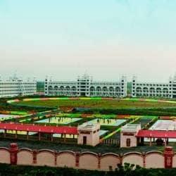 Rajiv Gandhi University of Knowledge Technologies, Dr.APJ Abdul Kalam IIIT Ongole Campus General photo 7