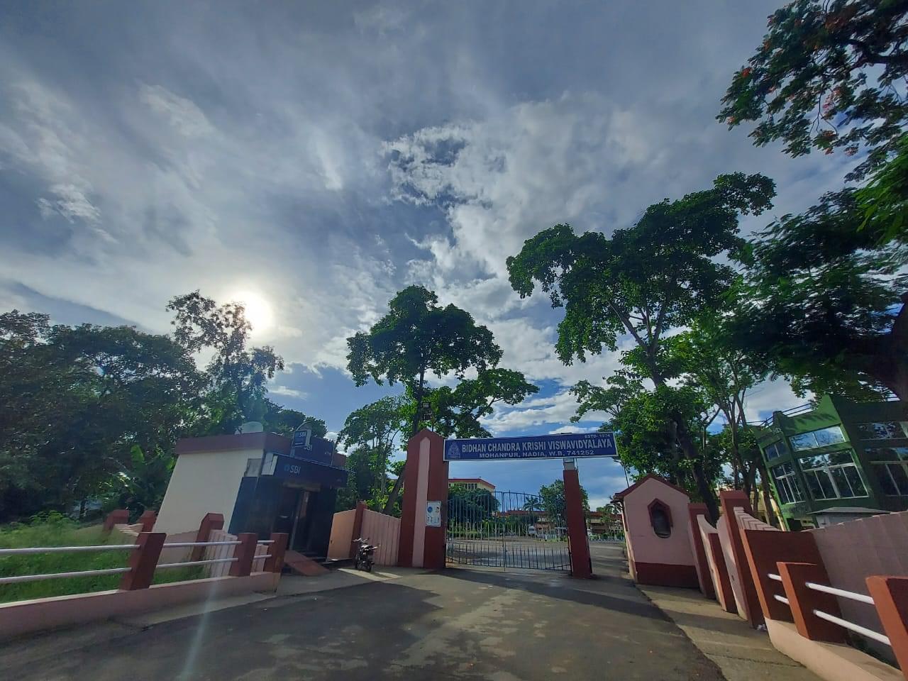 BCKV General photo 7