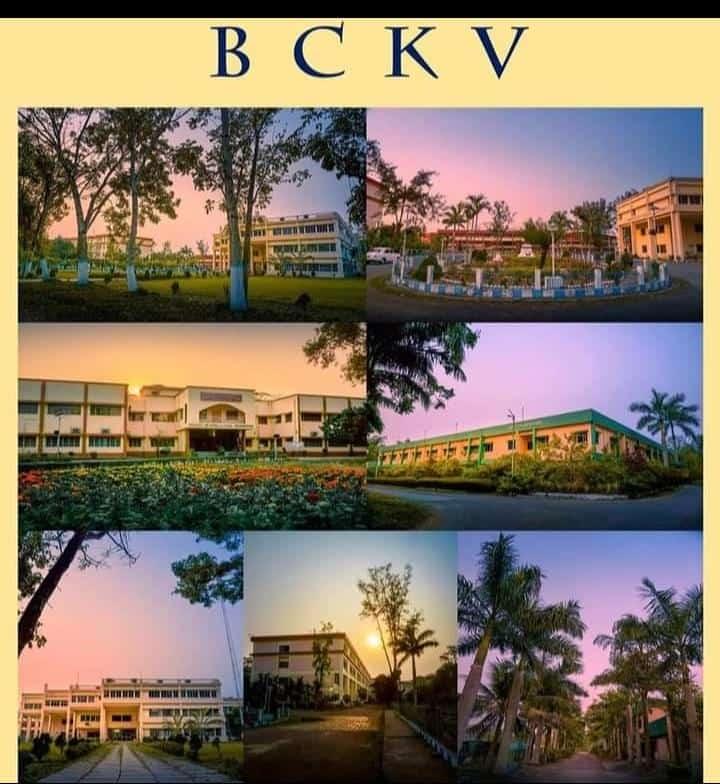 BCKV General photo 4