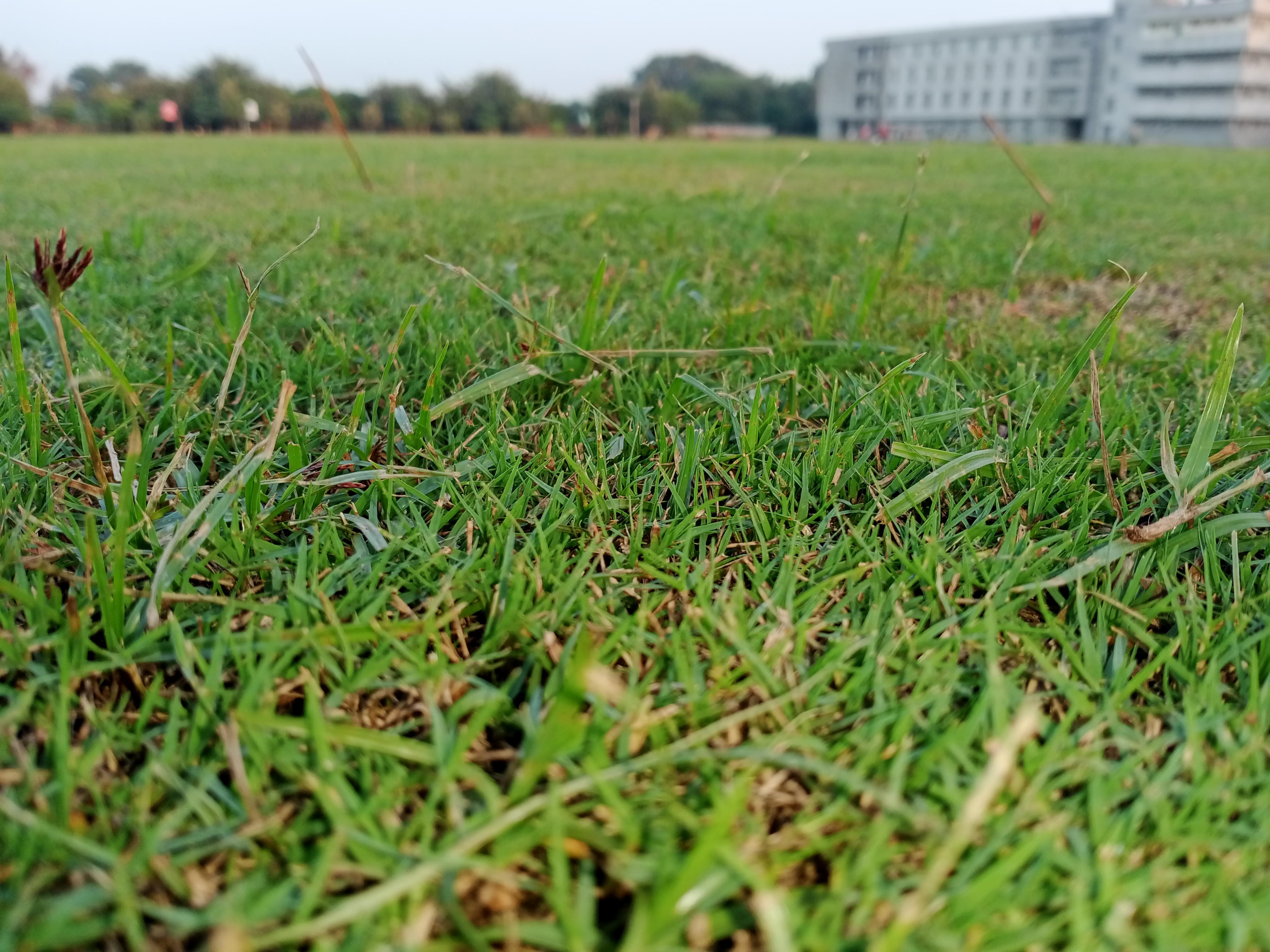 GITAM Kablana General photo (10) by Avinash Kumar