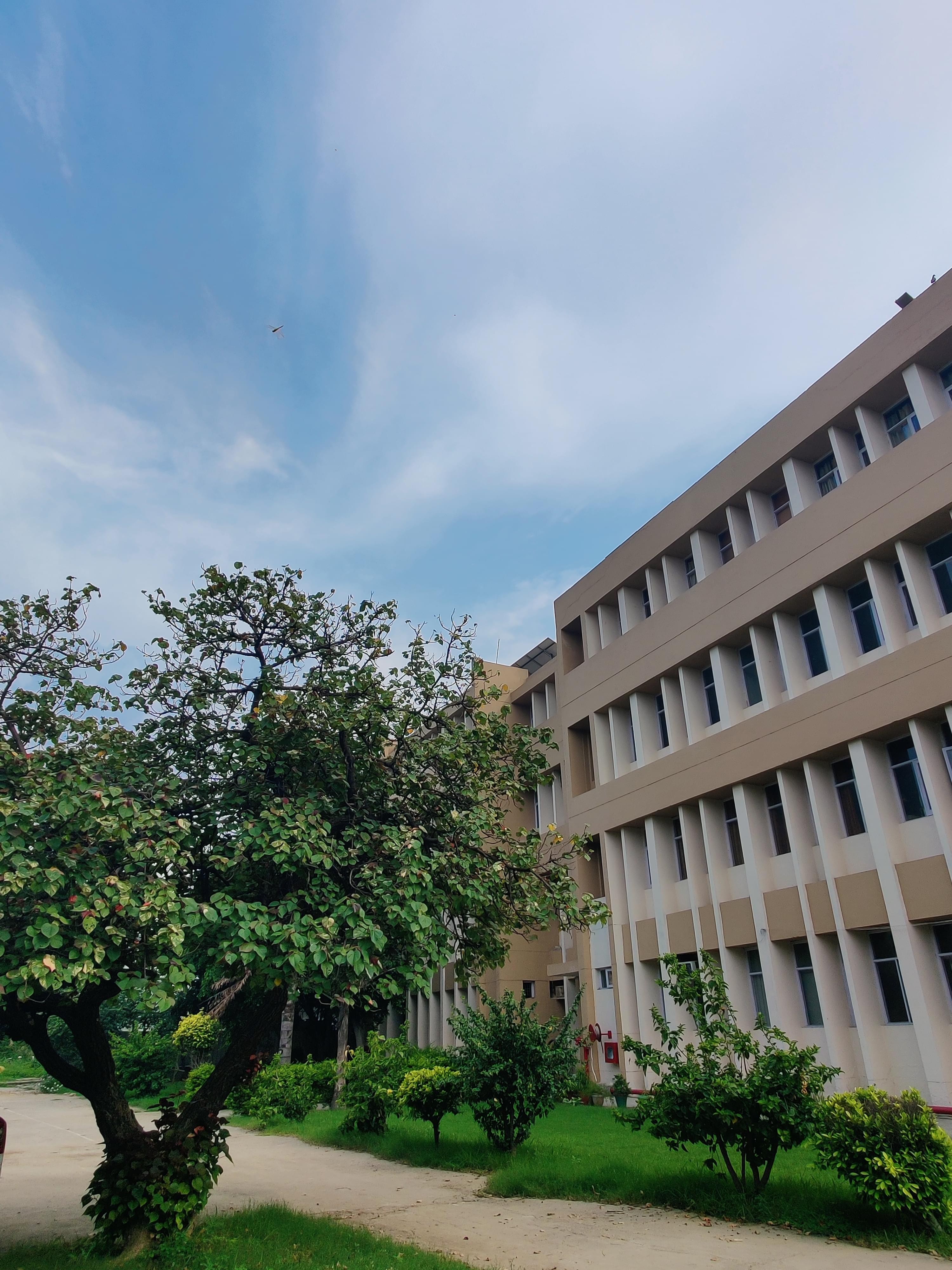 RIMT University Gobindgarh General photo (8) by Shivam Kumar