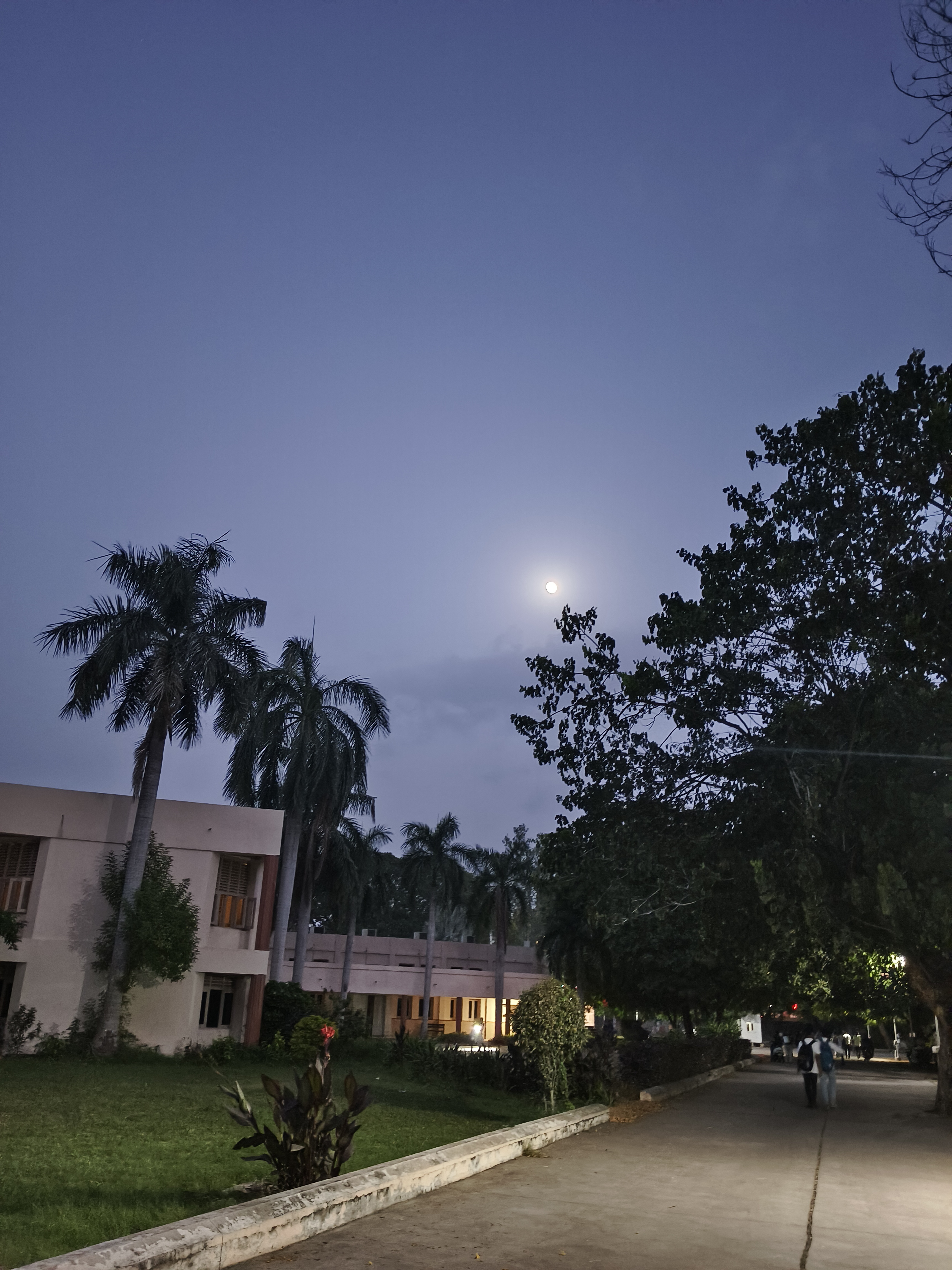Dharmsinh Desai University Nadiad Campus photo (4) by Vadariya Man