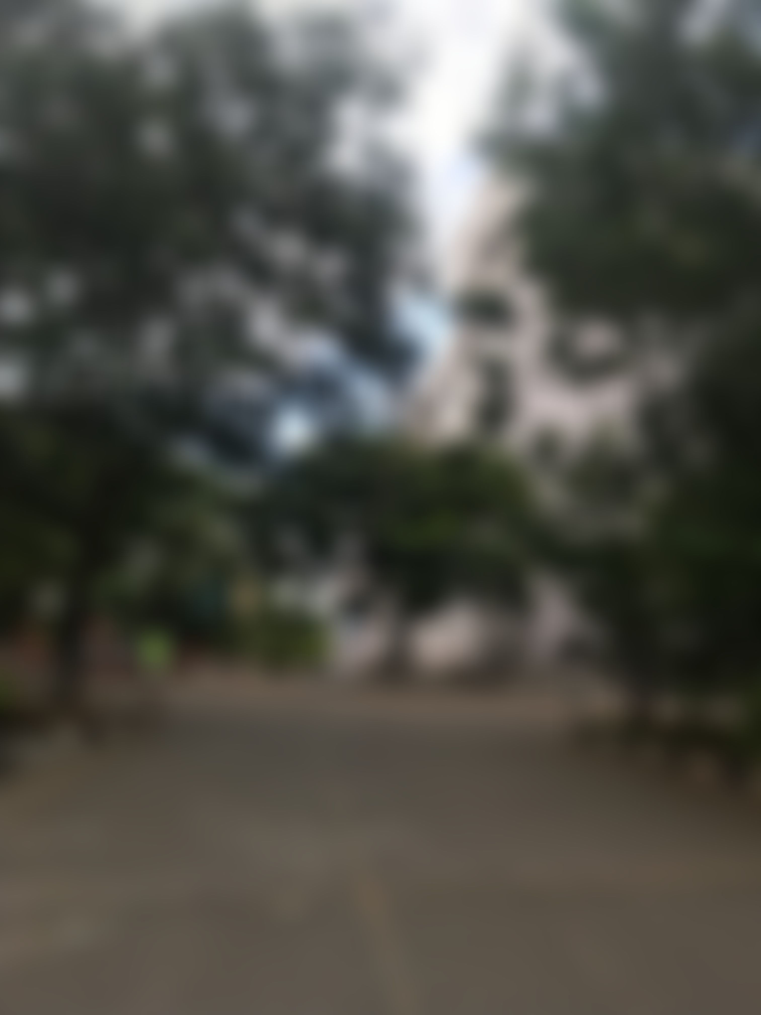 IIIT Hyderabad General photo (17) by Ronak Gaur