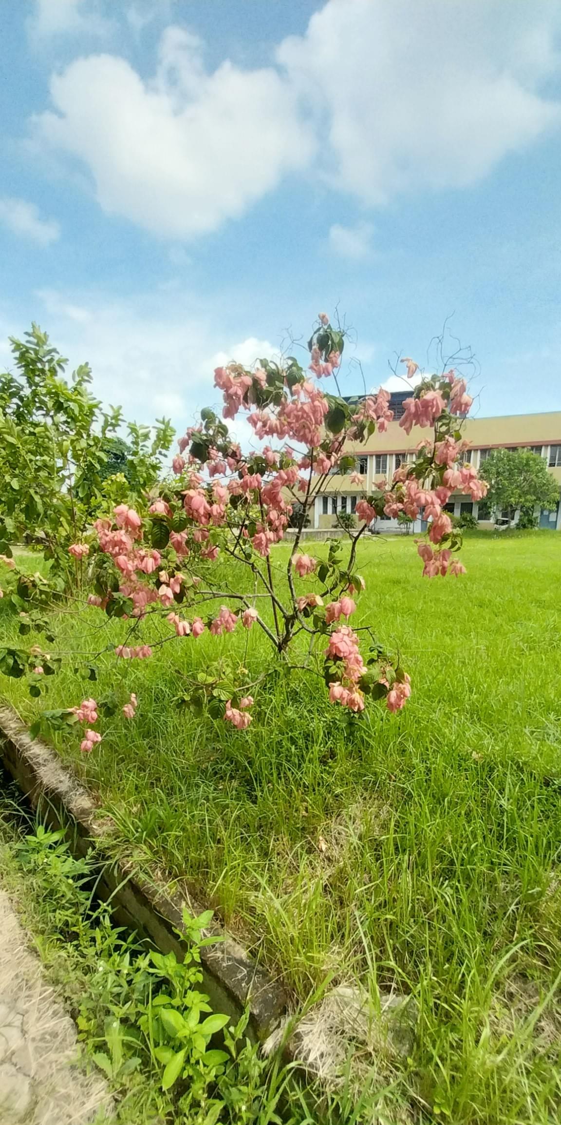 Gargi Memorial Institute of Technology Kolkata Campus photo (4) by Shantanu Gayen