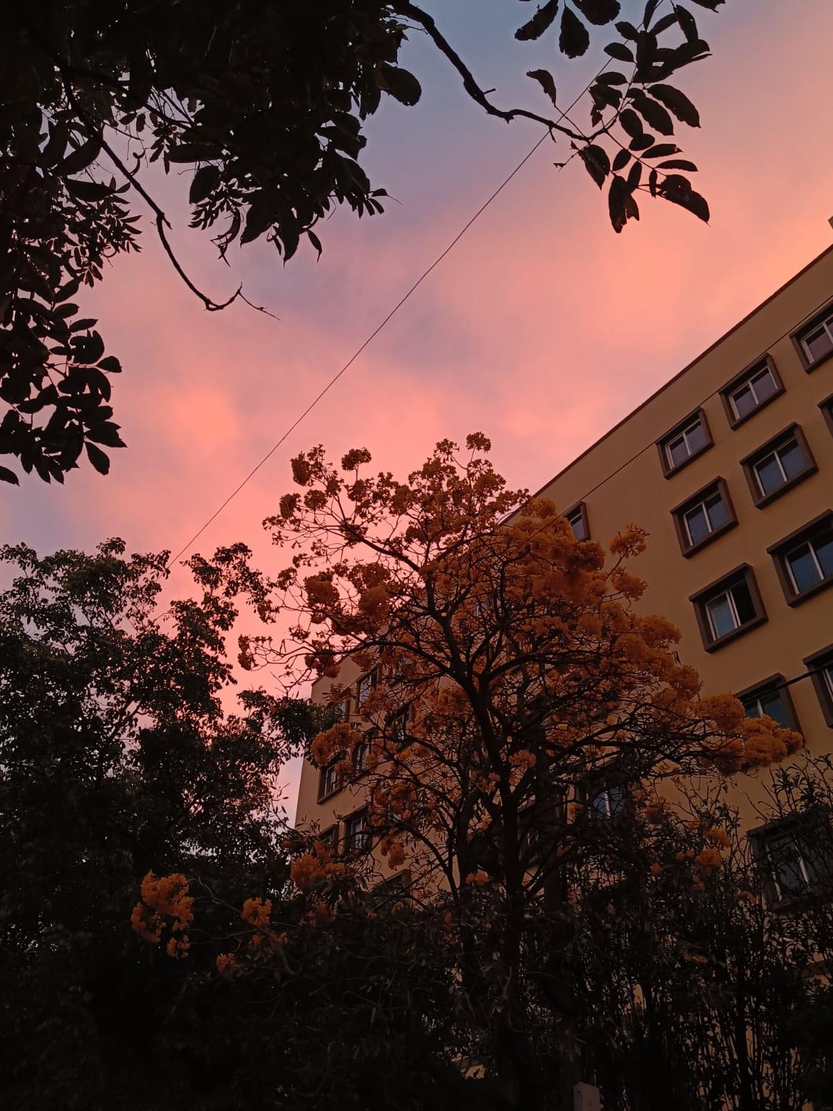 The Oxford College of Science Bangalore General photo 2