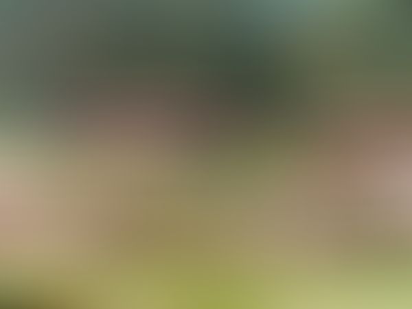 Bipin Tripathi Kumaon Institute of Technology Almora General photo (13) by Suraj