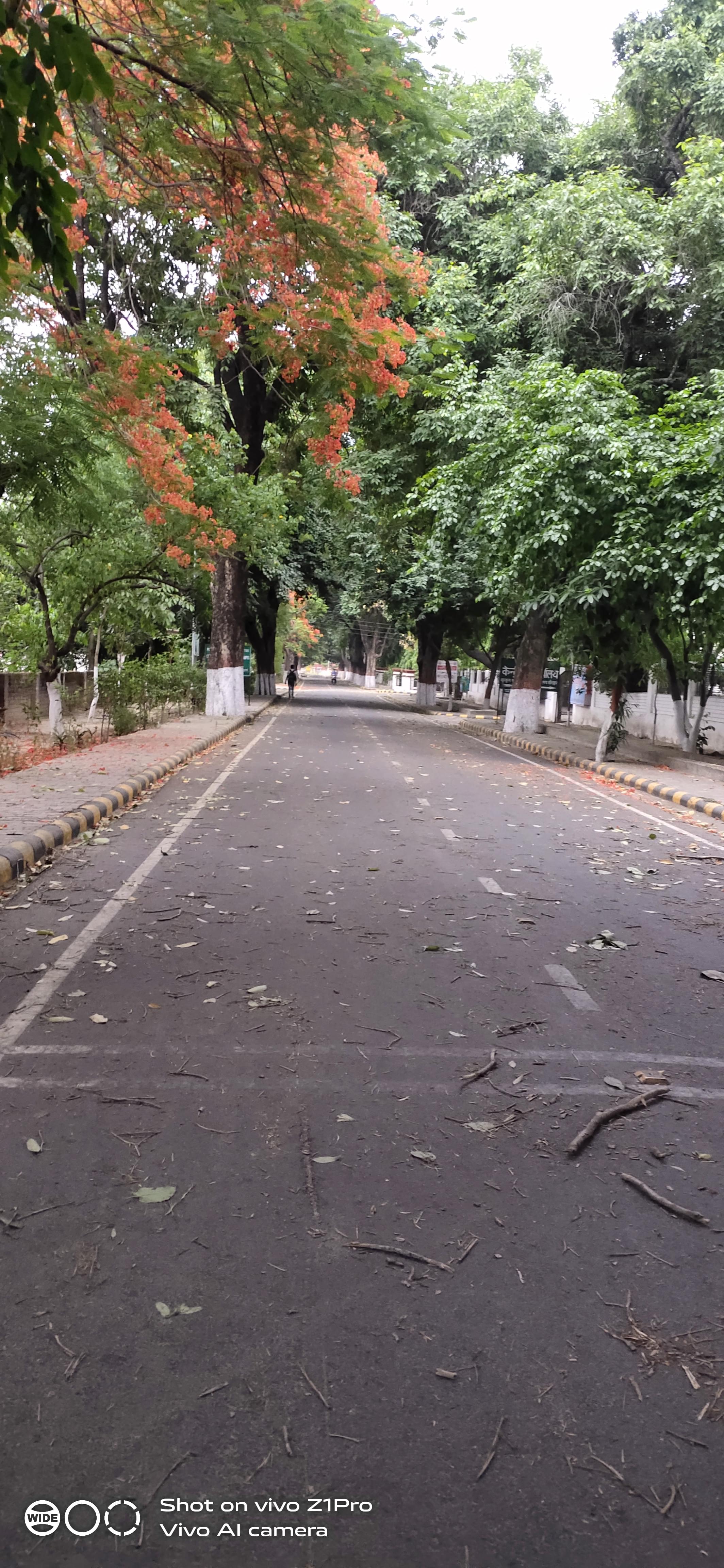 Gurukula Kangri Vishwavidyalaya Faculty of Engineering & Technology Haridwar Campus photo (13) by MANISH KUMAR