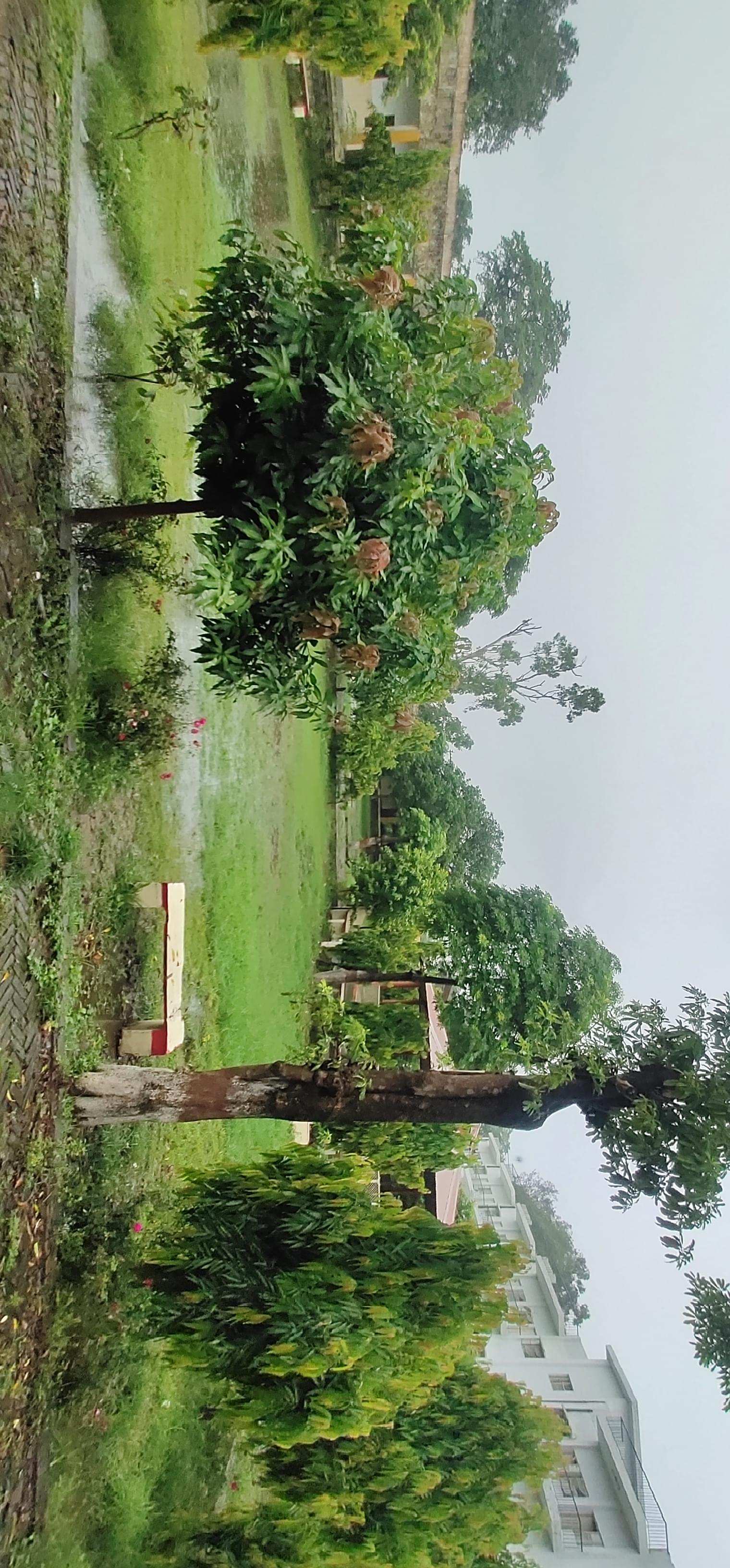 Gurukula Kangri Vishwavidyalaya Faculty of Engineering & Technology Haridwar Campus photo (15) by MANISH KUMAR