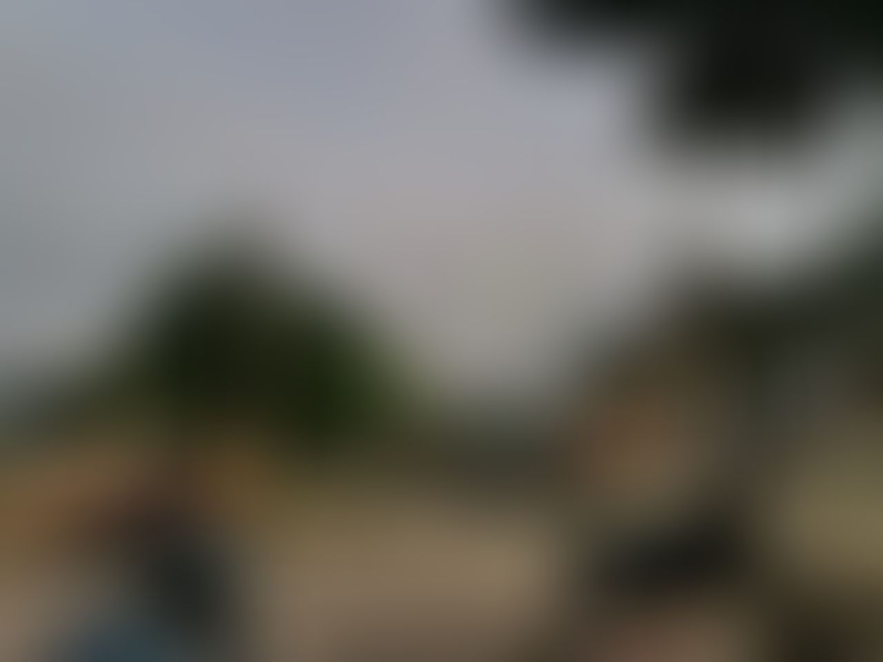 GMU Sambalpur General photo (16) by Anwesha Tripathy
