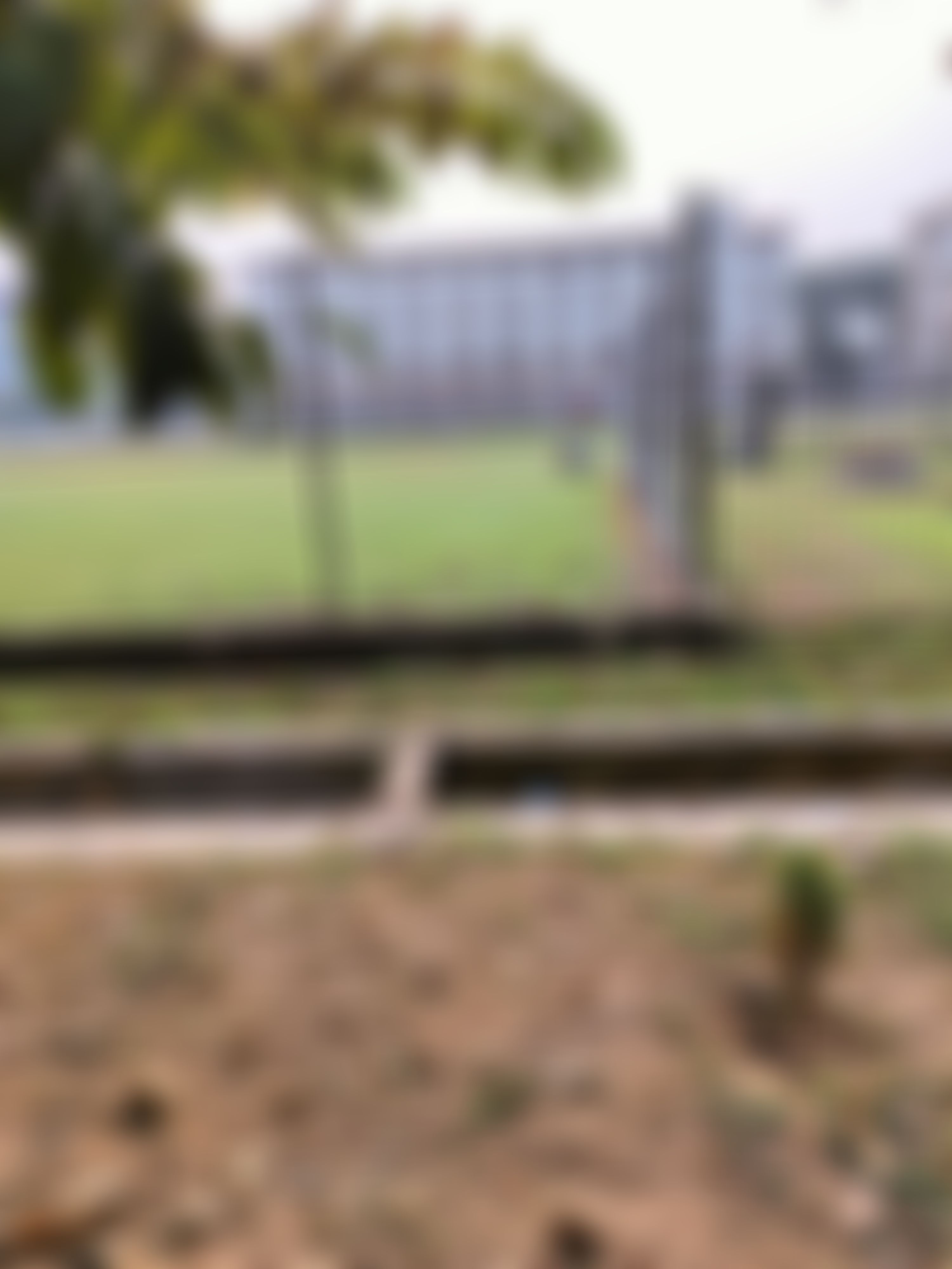 BCREC Campus photo (15) by Aadrish Mazumder