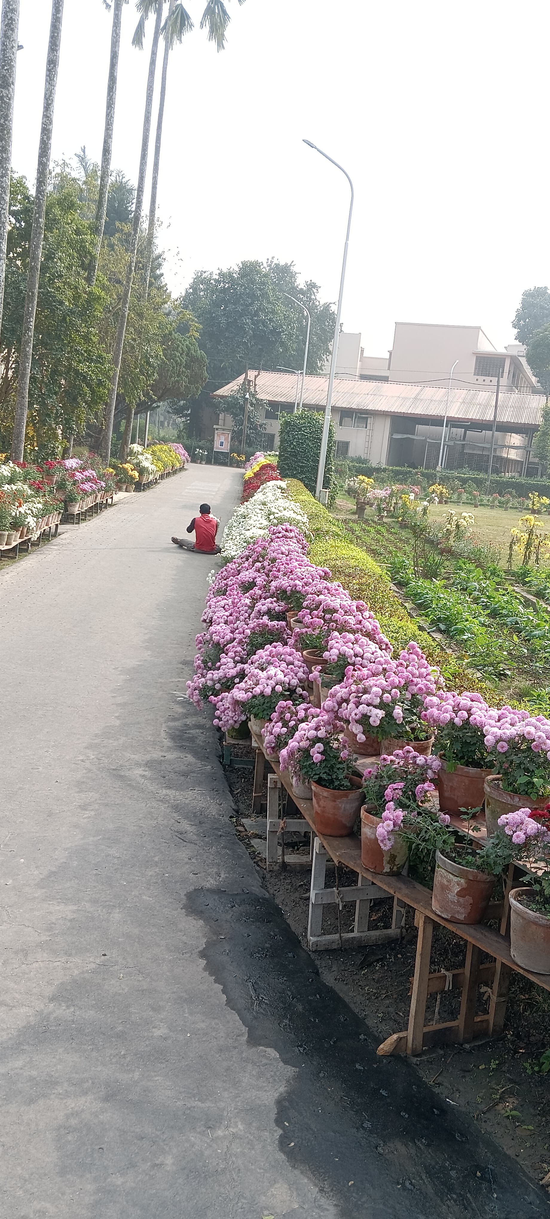 Ramakrishna Mission Residential College Kolkata General photo (9) by Soumyadeep Nandy