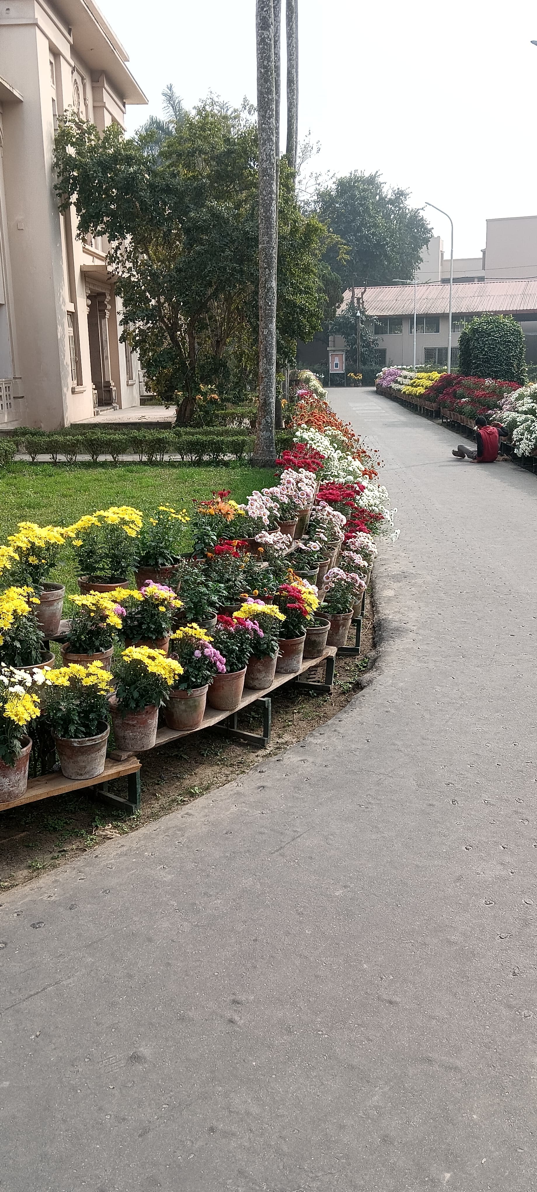 Ramakrishna Mission Residential College Kolkata General photo (8) by Soumyadeep Nandy