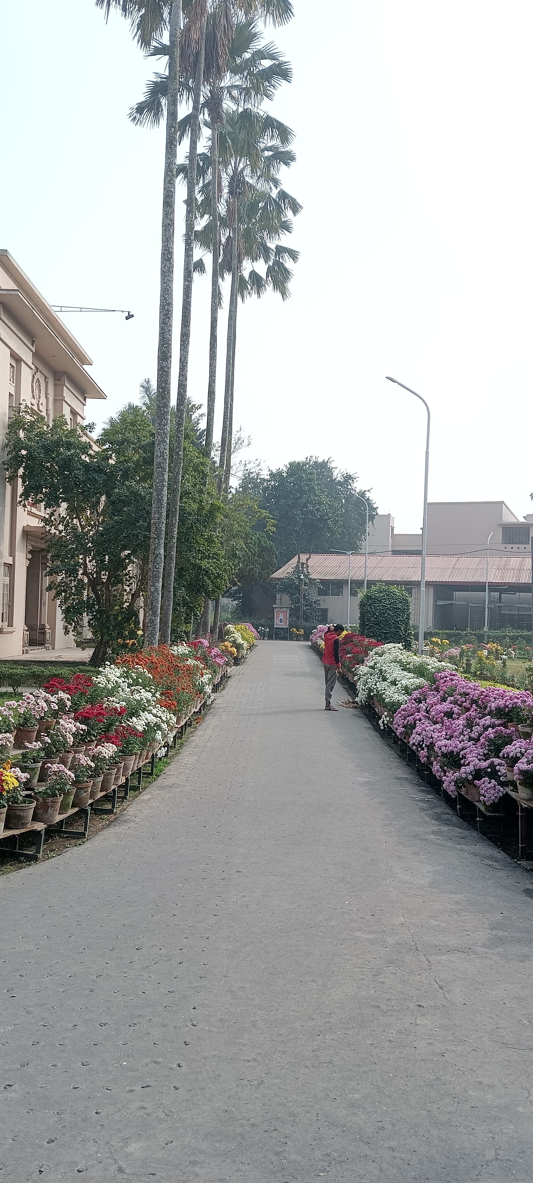 Ramakrishna Mission Residential College Kolkata General photo (7) by Soumyadeep Nandy