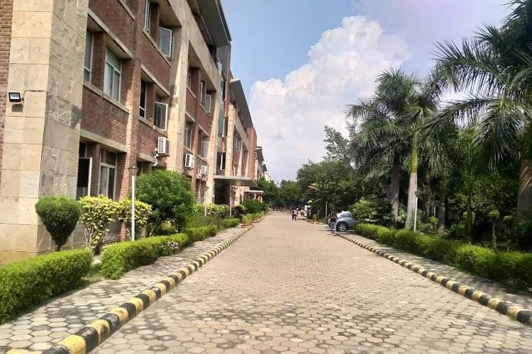 Mangalmay Institute of Engineering and Technology Greater Noida General photo (16) by Manil cho