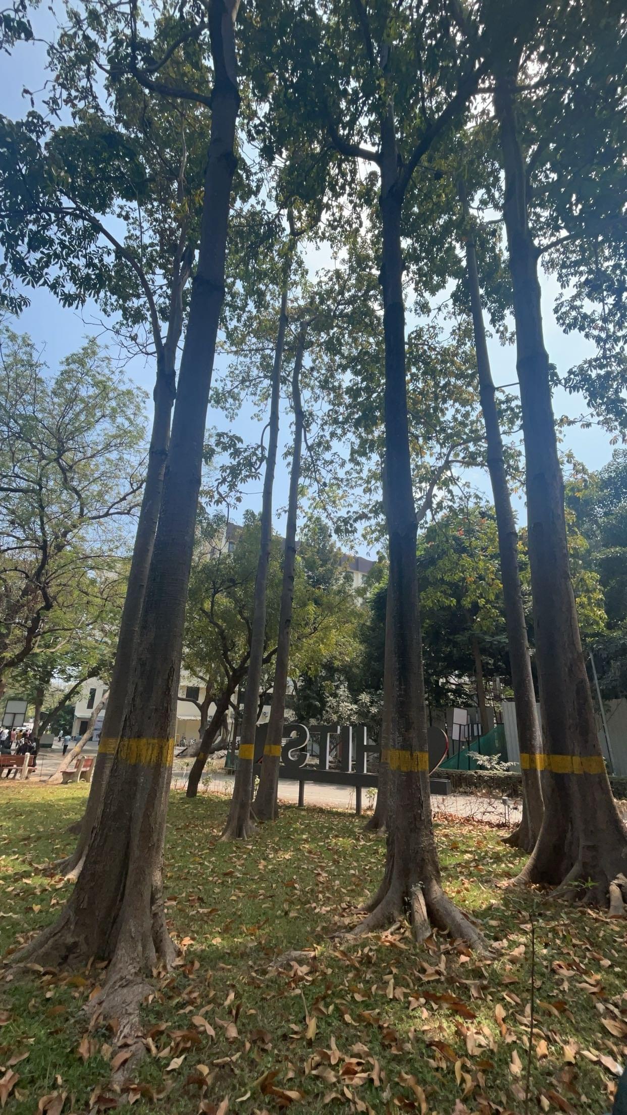 HITS Extra-Curricular photo (10) by Shruti Arunkumar