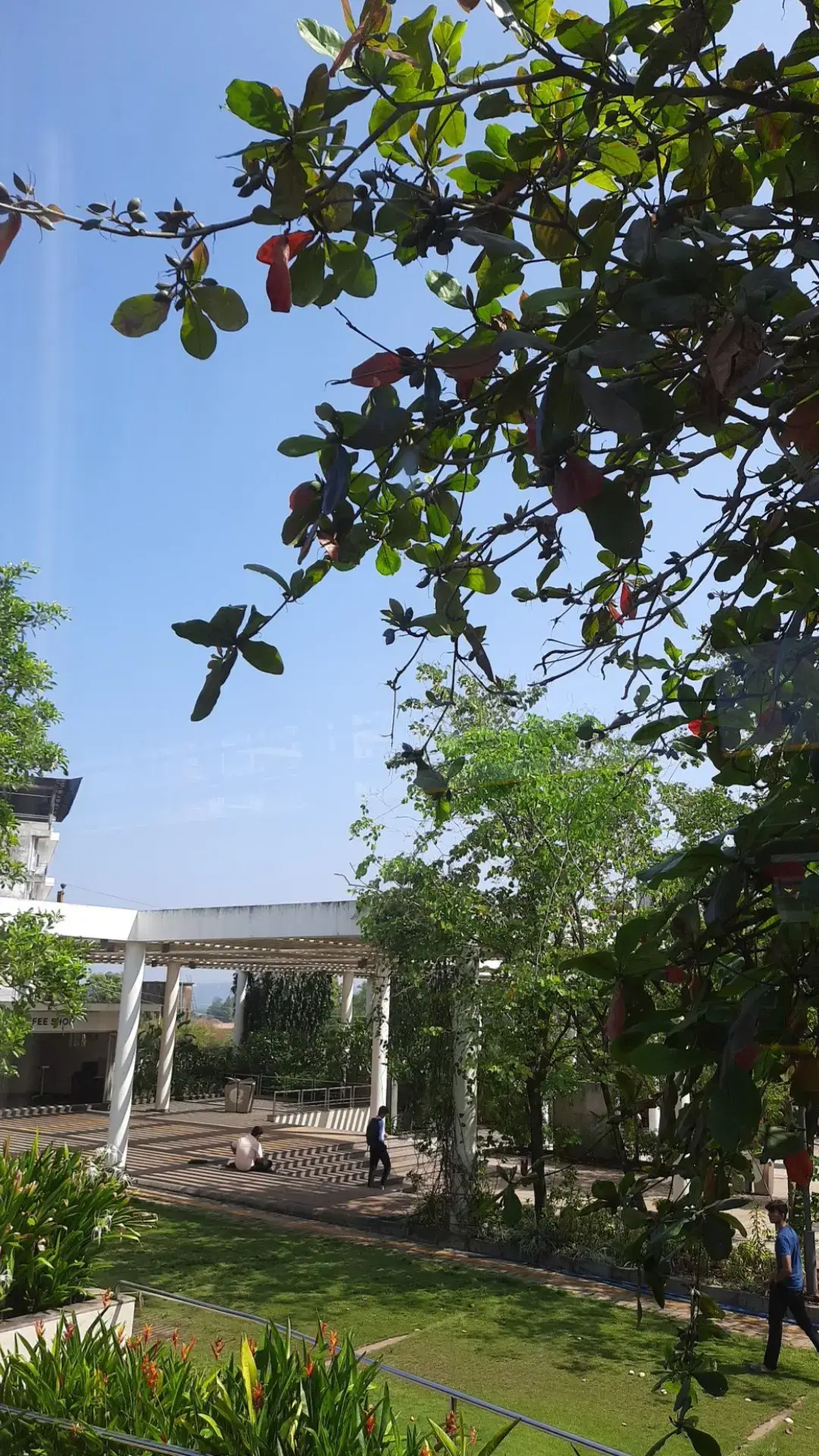 KS Hegde Medical Academy Mangalore Events photo (18) by Supriya sadashiv sahani