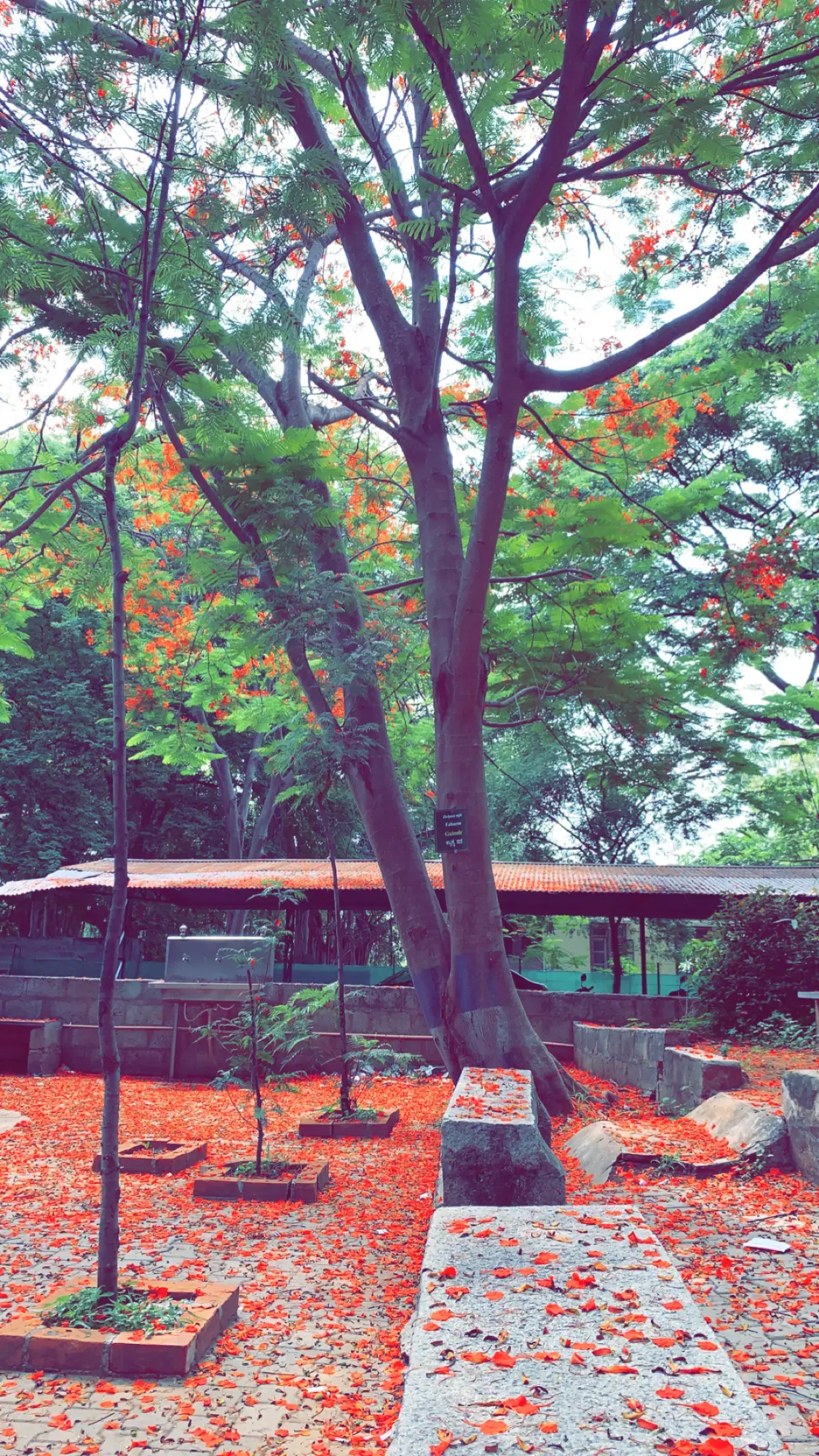 St. Philomena's College Mysore General photo (5) by Dorinbennet rojer