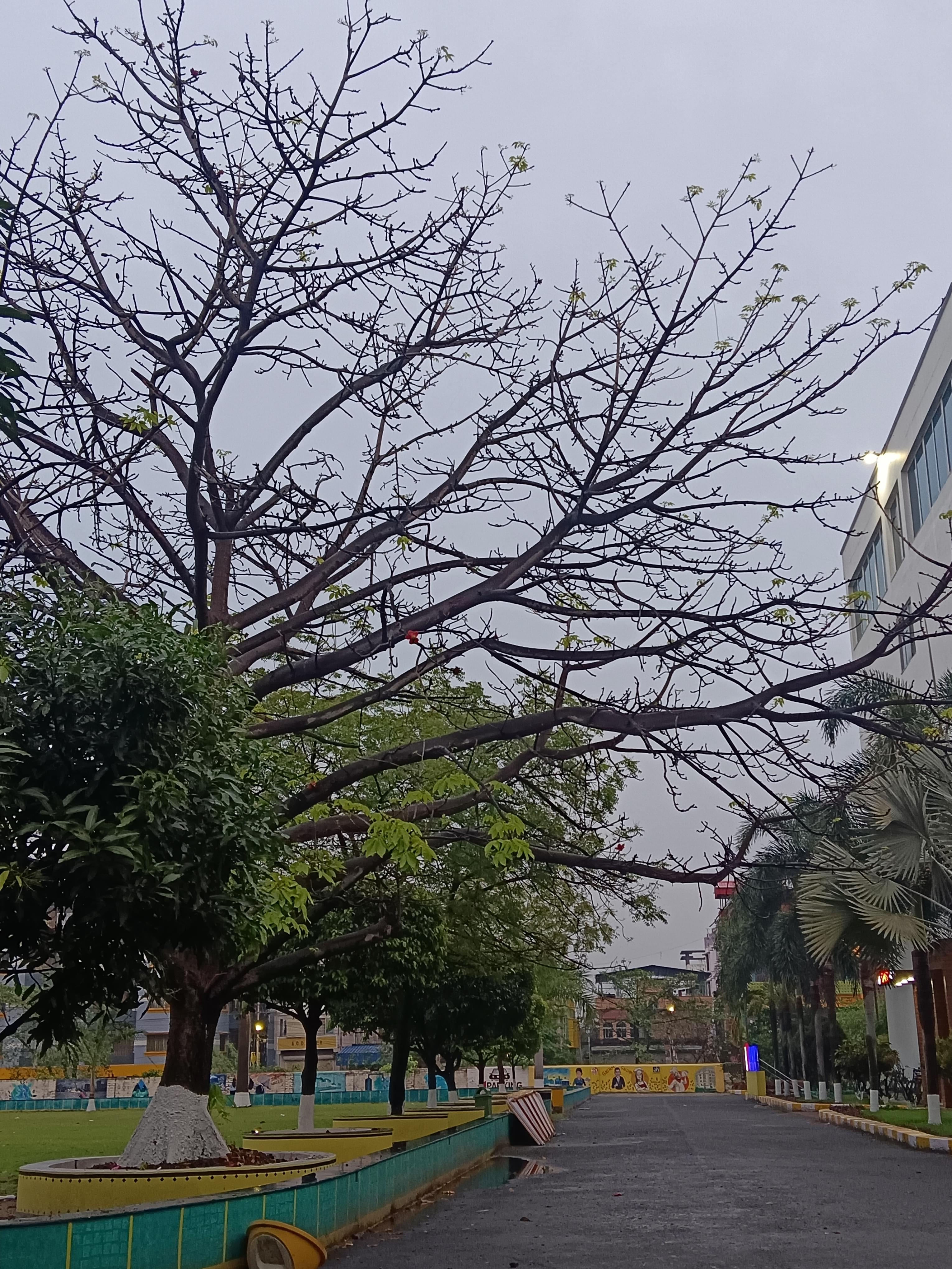 JIS University Campus photo (17) by Rohit Adhikary