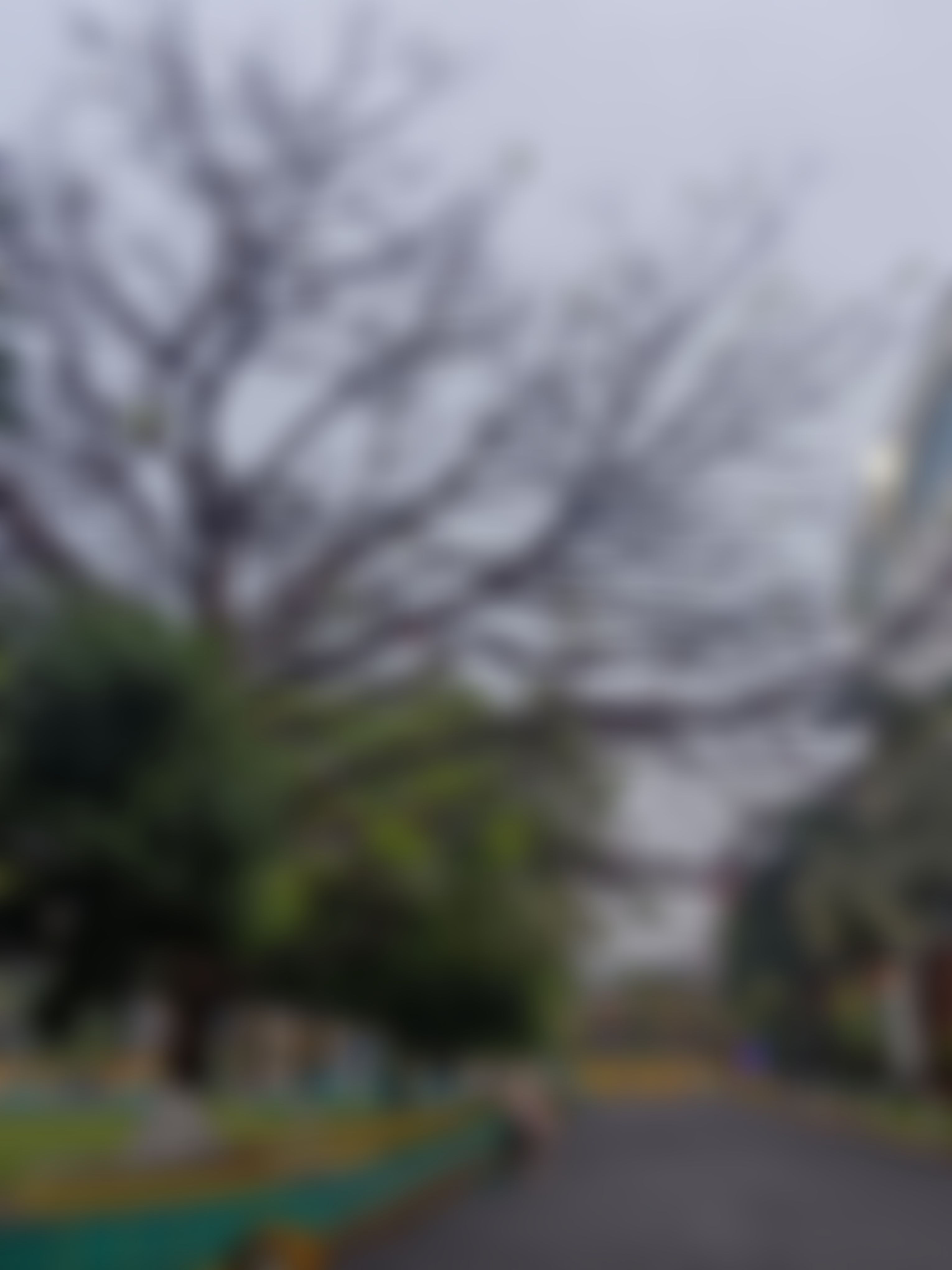 JIS University Campus photo (15) by Rohit Adhikary