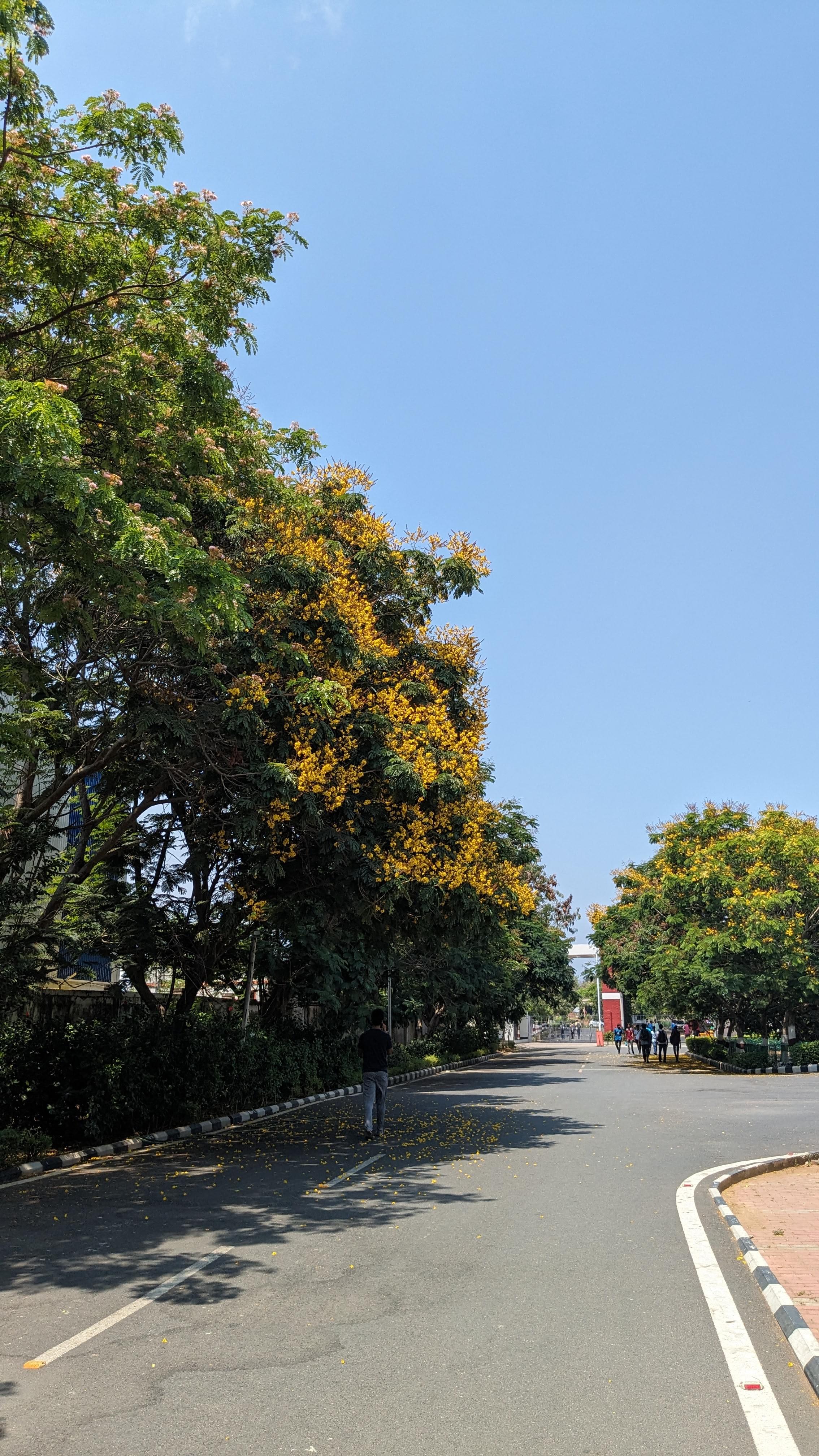 IIITDM Kancheepuram General photo (15) by Yathin