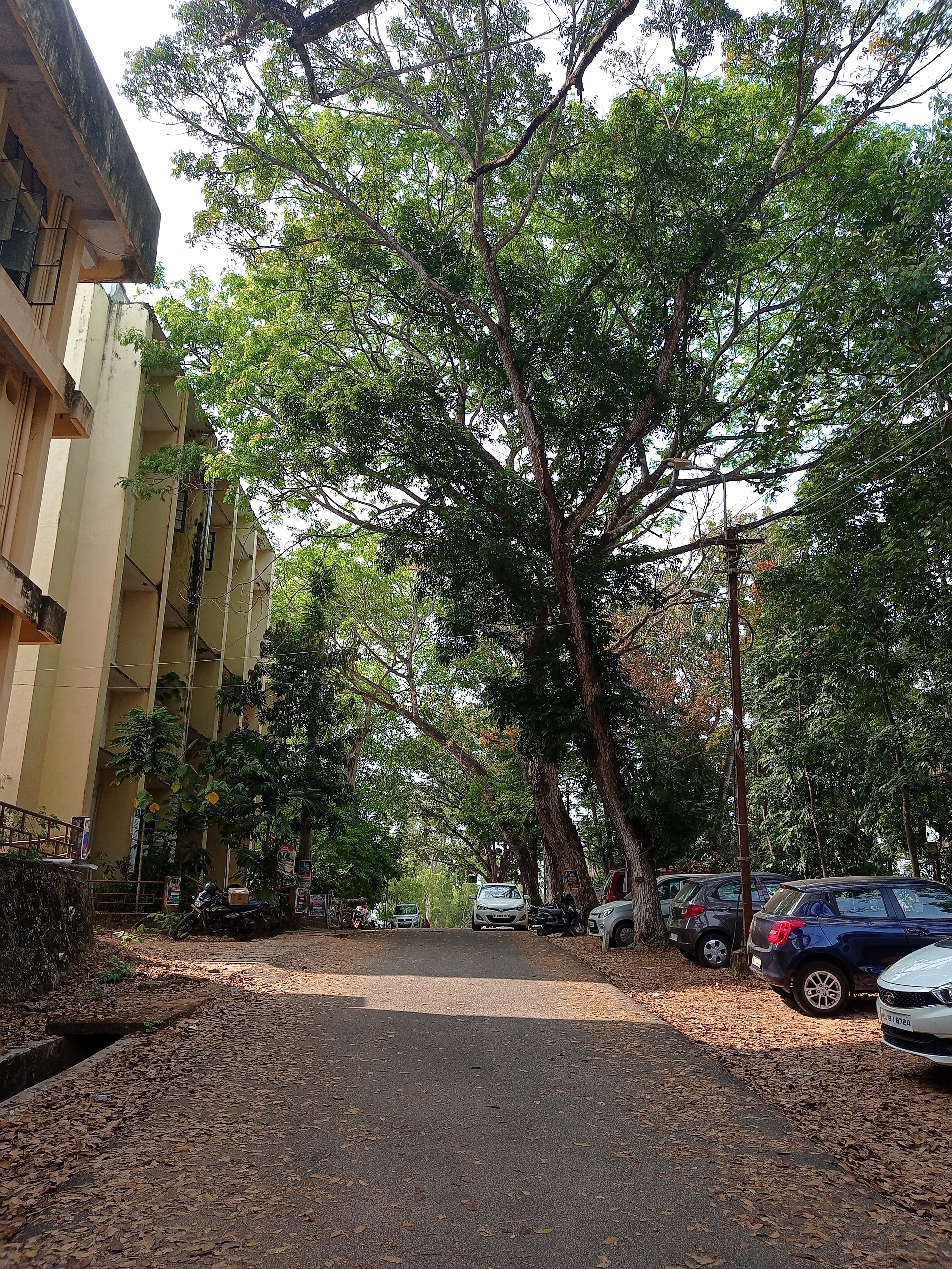 CET Trivandrum Campus photo (15) by Rahul C Madhavan
