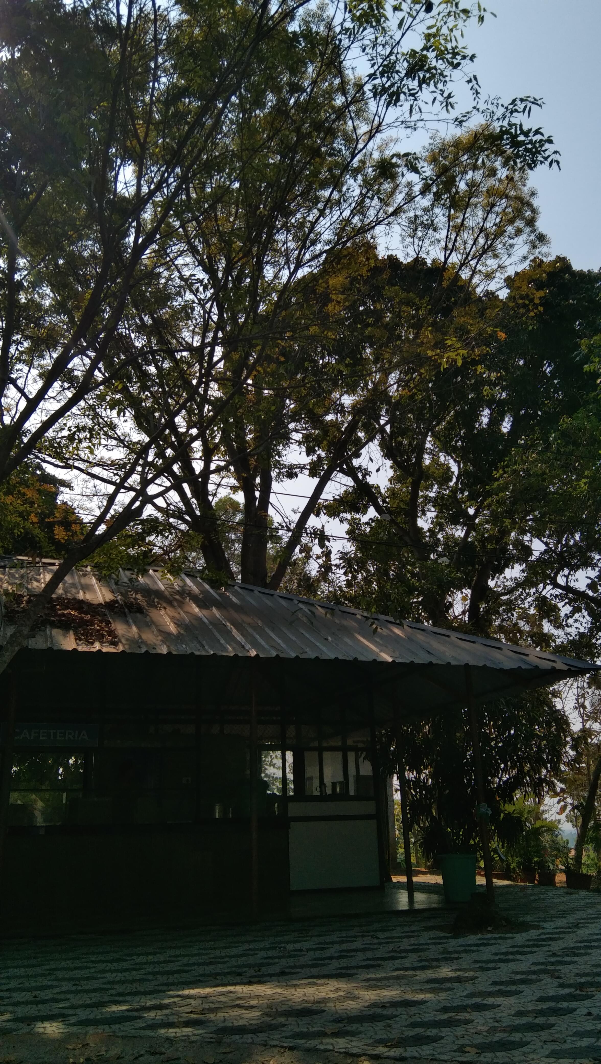 Mar Ivanios College Thiruvananthapuram General photo (15) by FATHIMA NISA