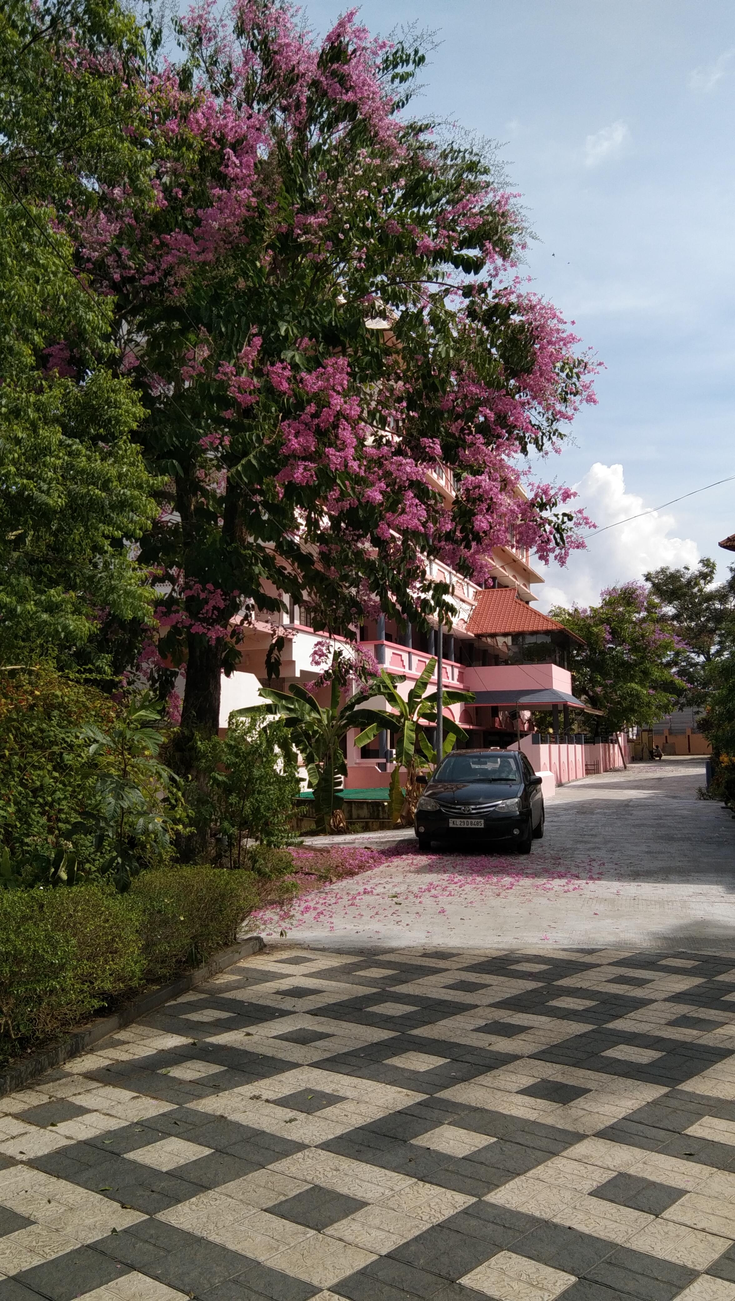 Mar Ivanios College Thiruvananthapuram General photo (10) by FATHIMA NISA