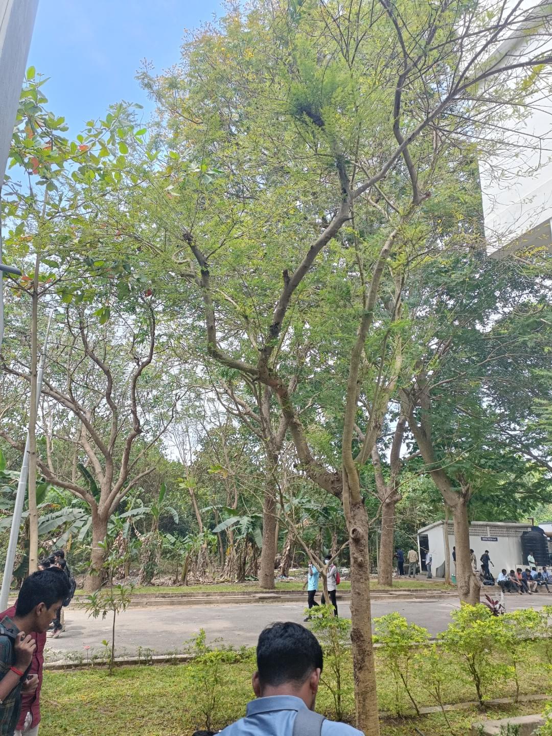 Sri Manakula Vinayagar Engineering College Pondicherry Campus photo (12) by Hariharan V