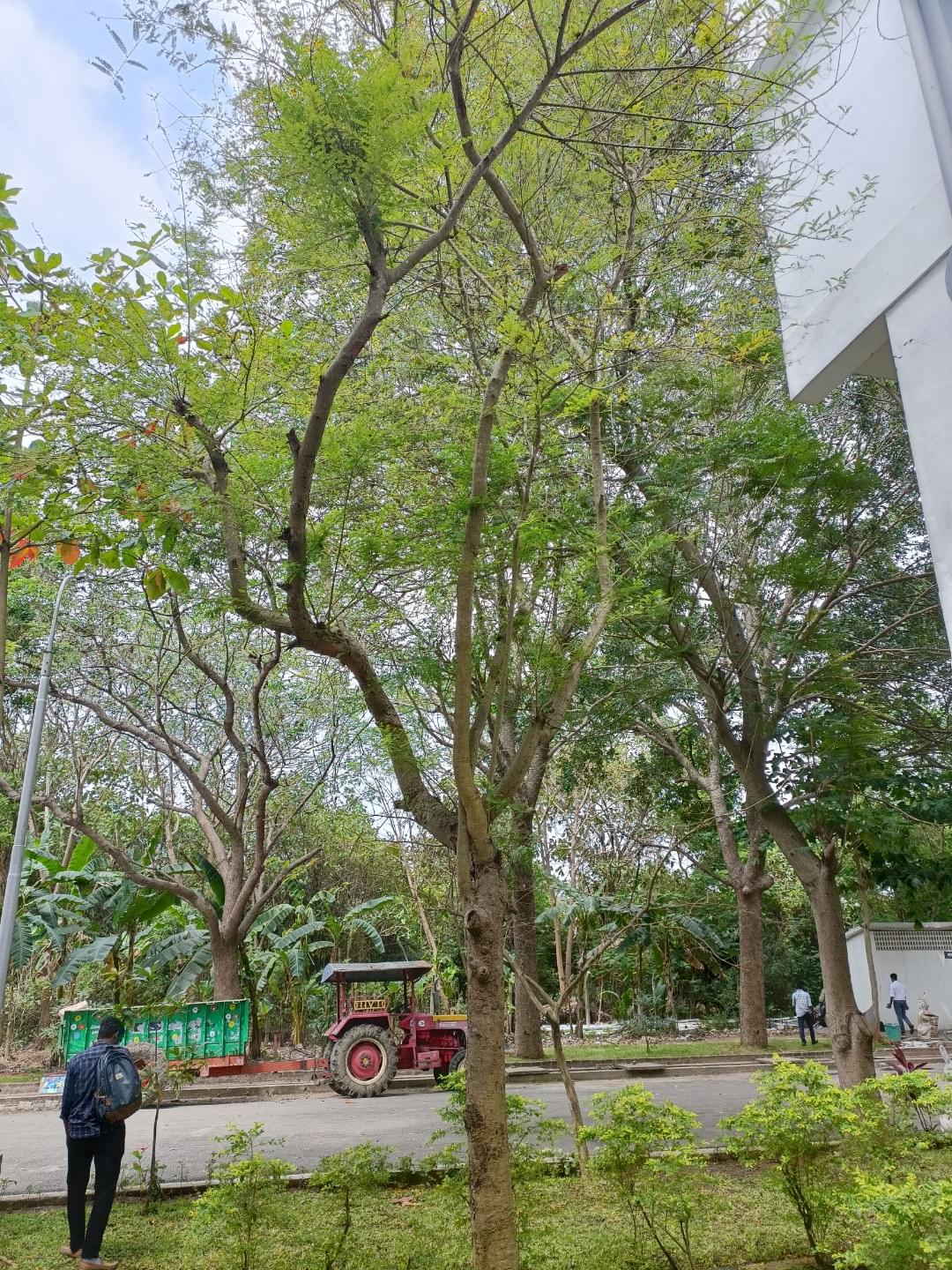 Sri Manakula Vinayagar Engineering College Pondicherry Campus photo (14) by Hariharan V