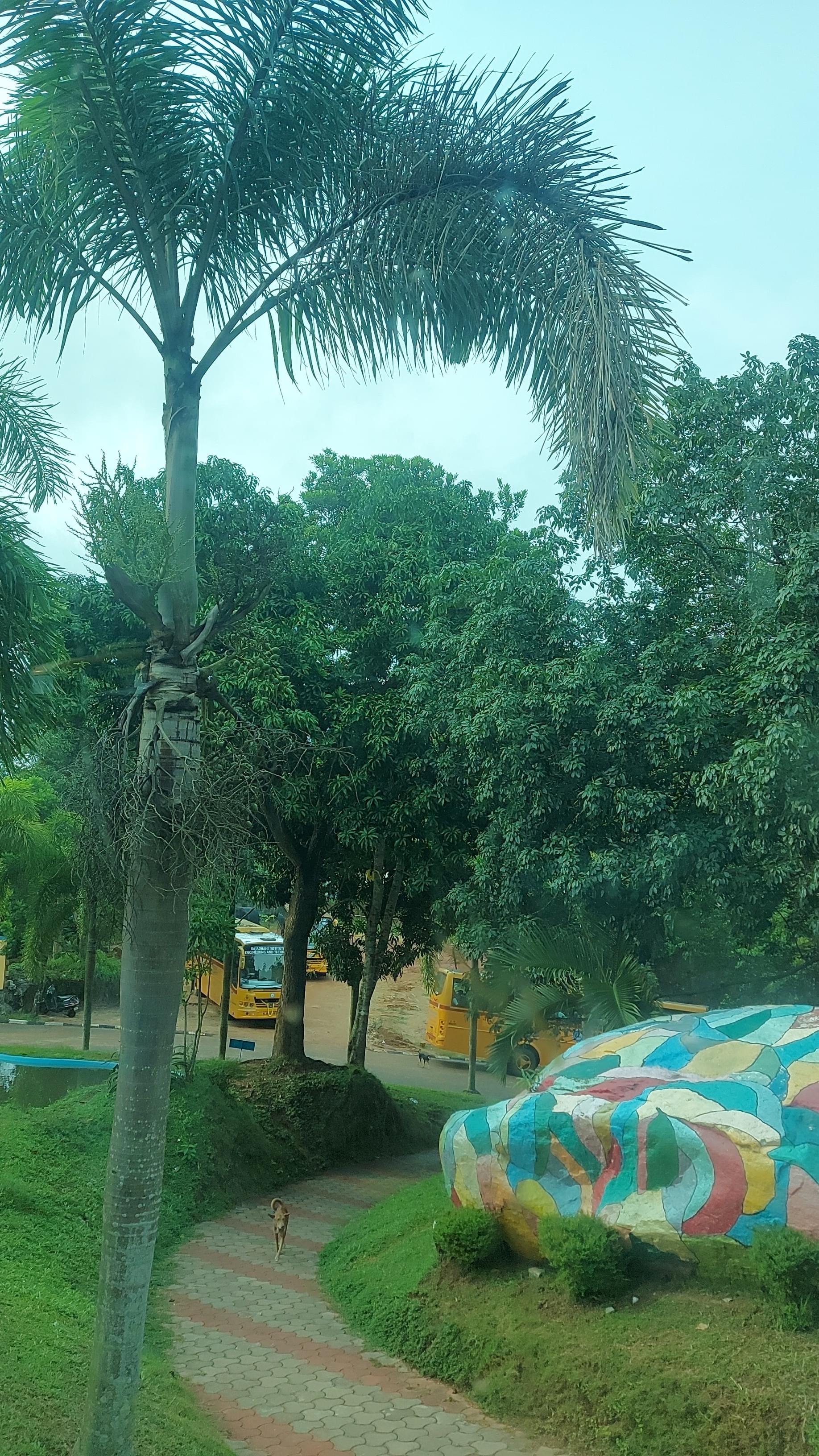 Rajadhani Institute of Engineering and Technology Attinga Campus photo (4) by Manha fathima