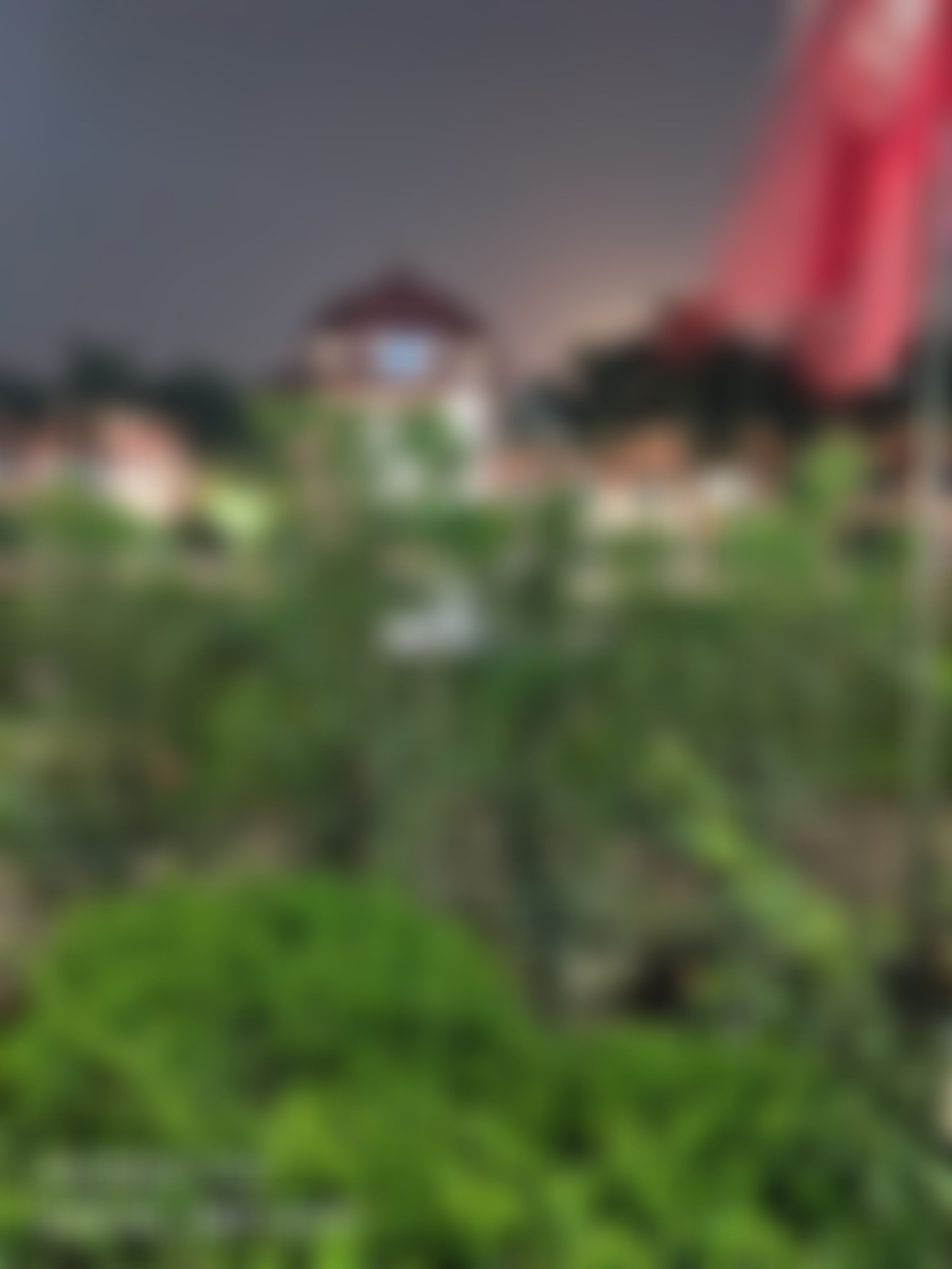 AIT Pune Campus photo (13) by TANUJ JOSHI