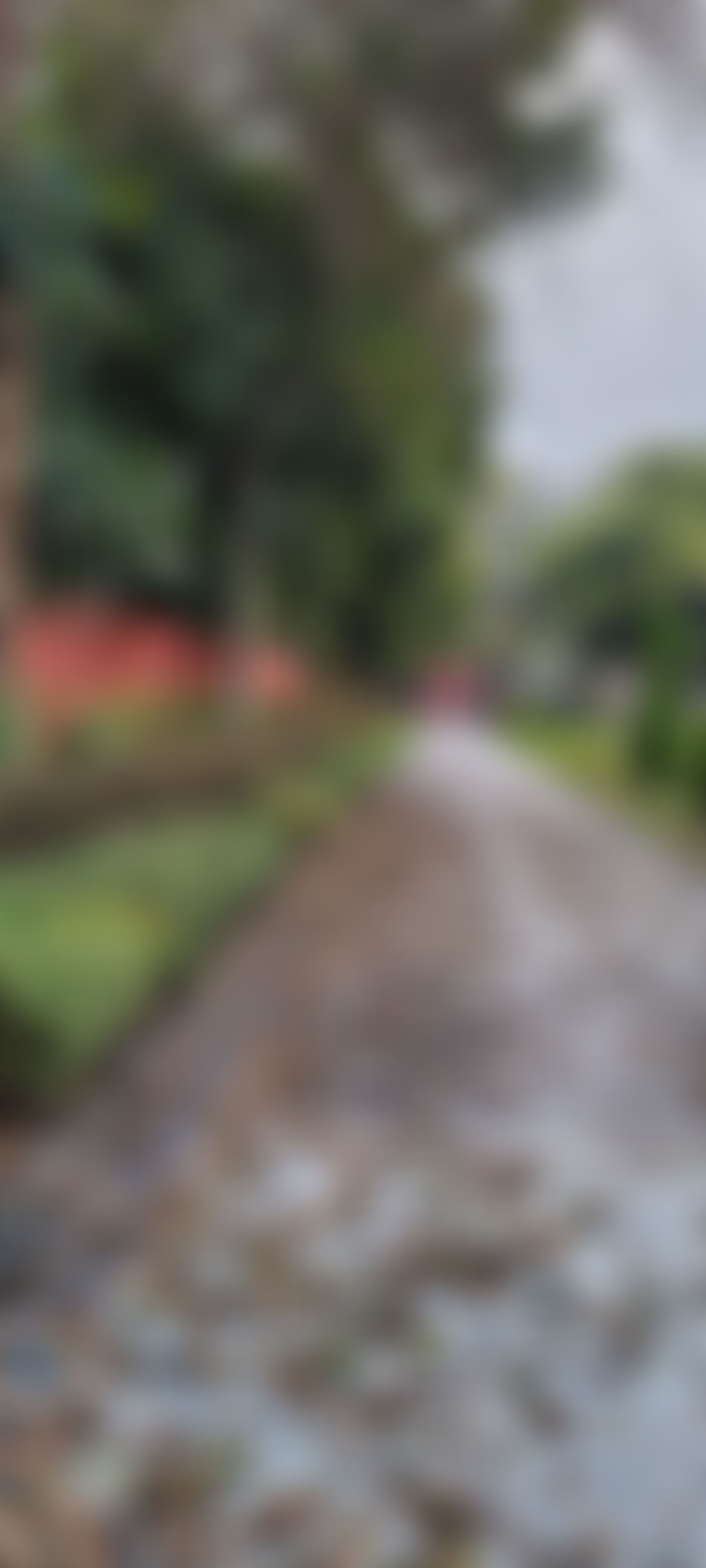 GMC Amritsar Campus photo (4) by Shagun