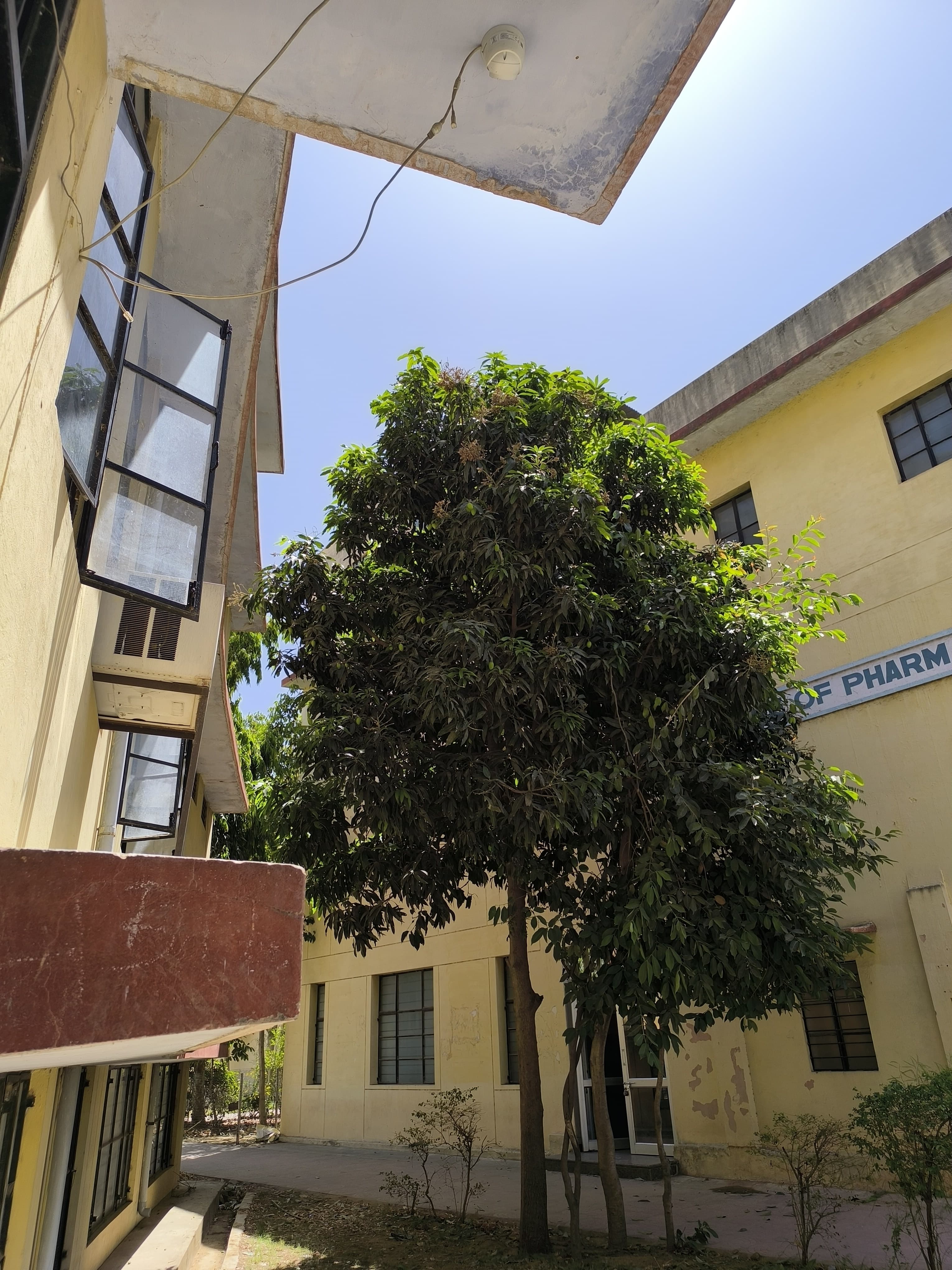 Sri Balaji College of Engineering and Technology Jaipur Infrastructure & Academic Building photo (15) by Mayank Kumar narnoliya