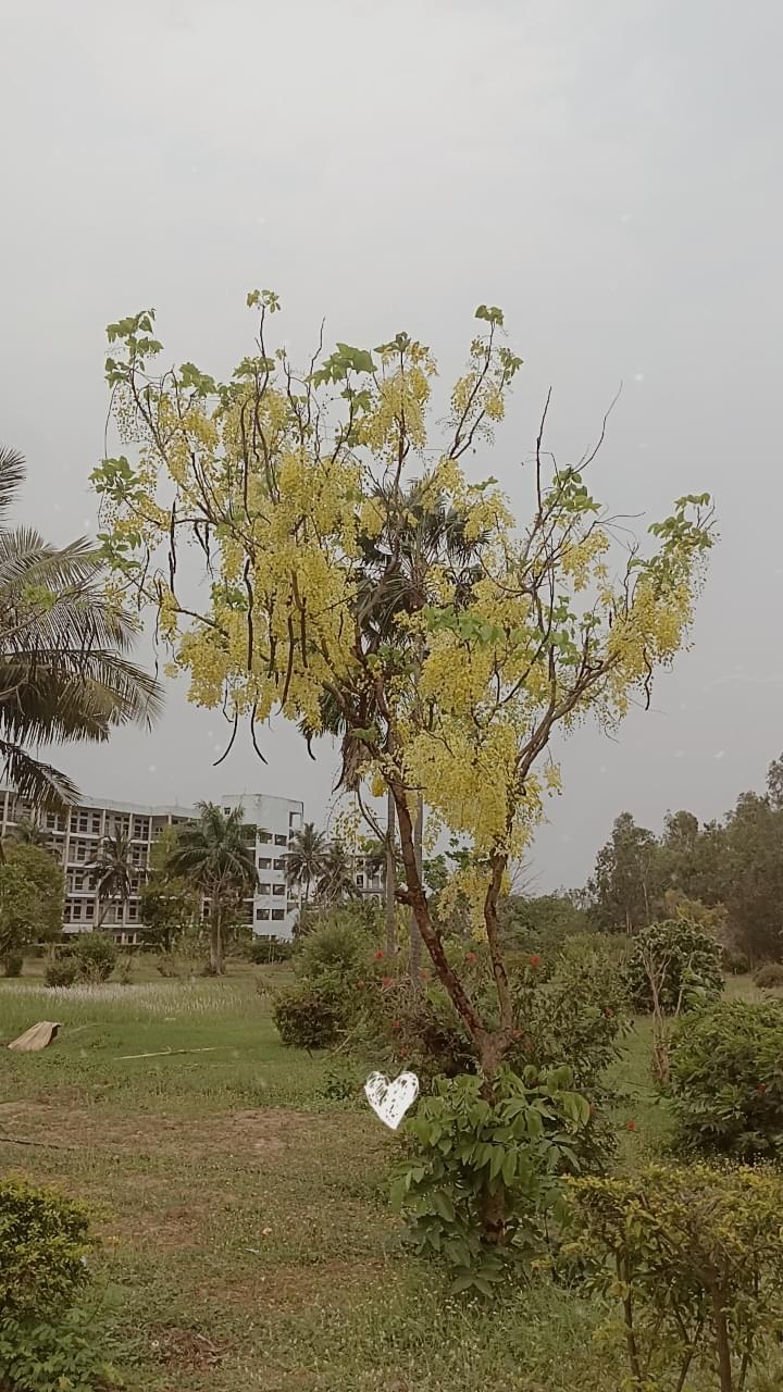 NIST University Campus photo (20) by sai smita sahu