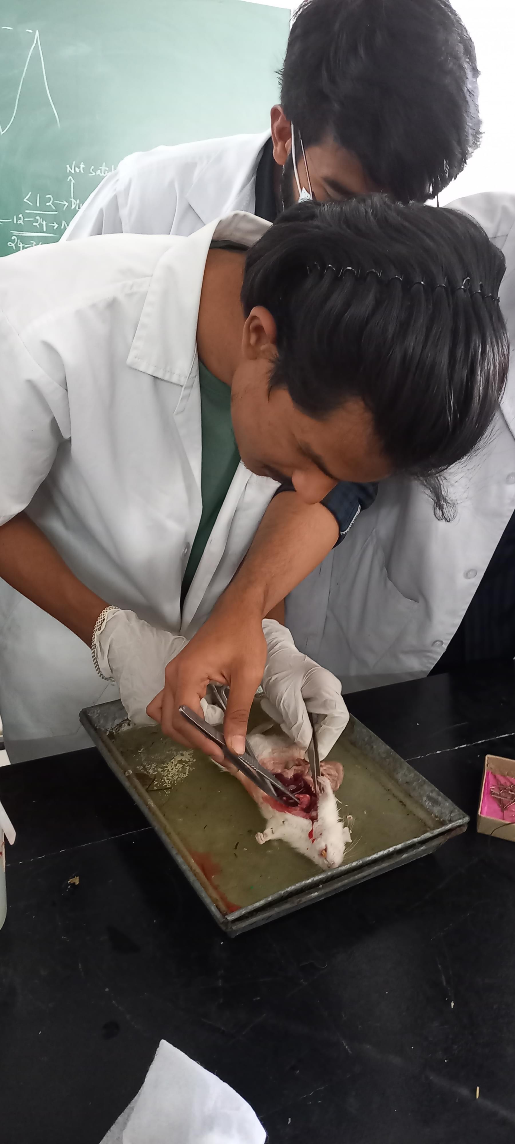 Anwarul Uloom College of Pharmacy Hyderabad General photo 1